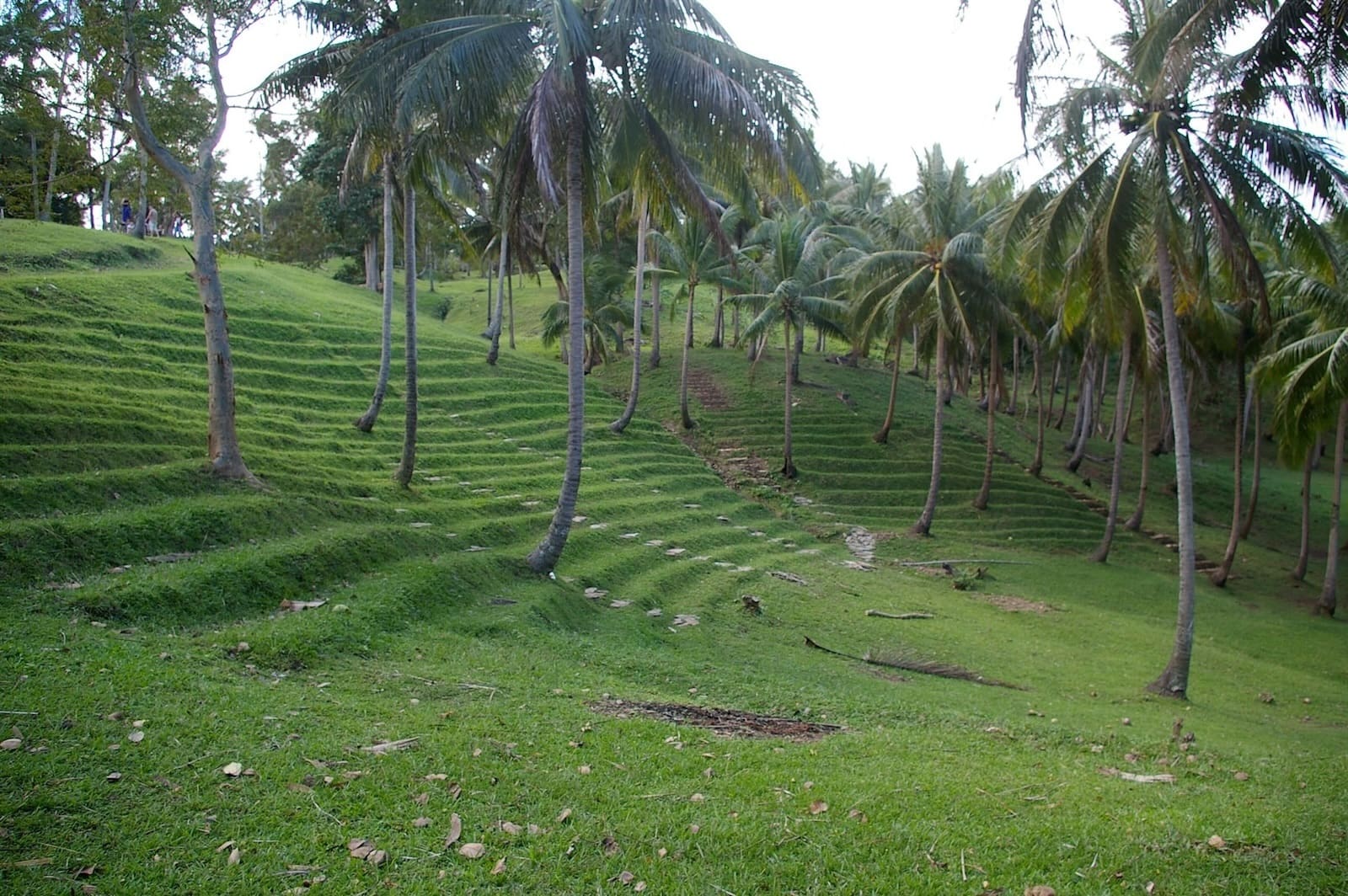 malasimbo ampitheater