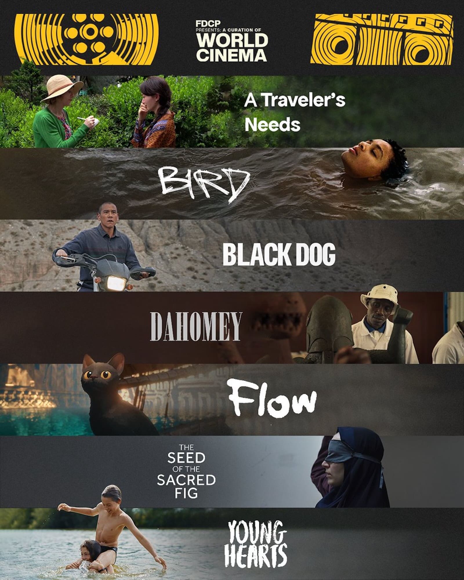 FDCP international films screening march 2025