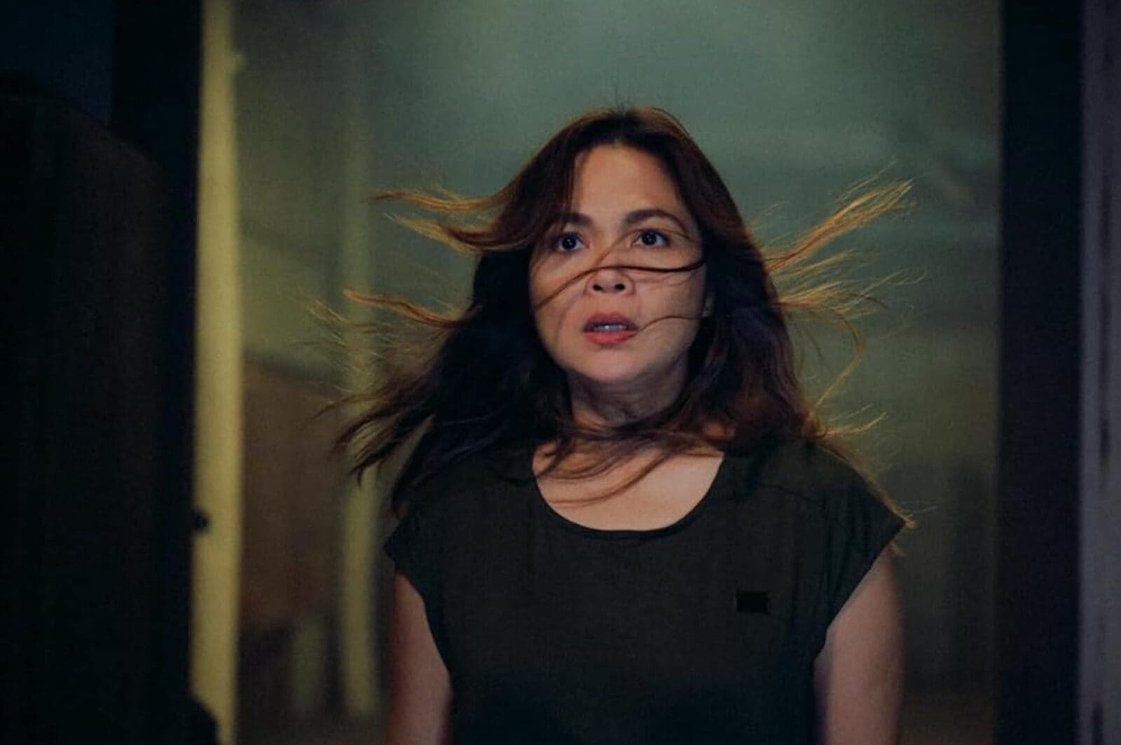 judy ann santos espantaho solo