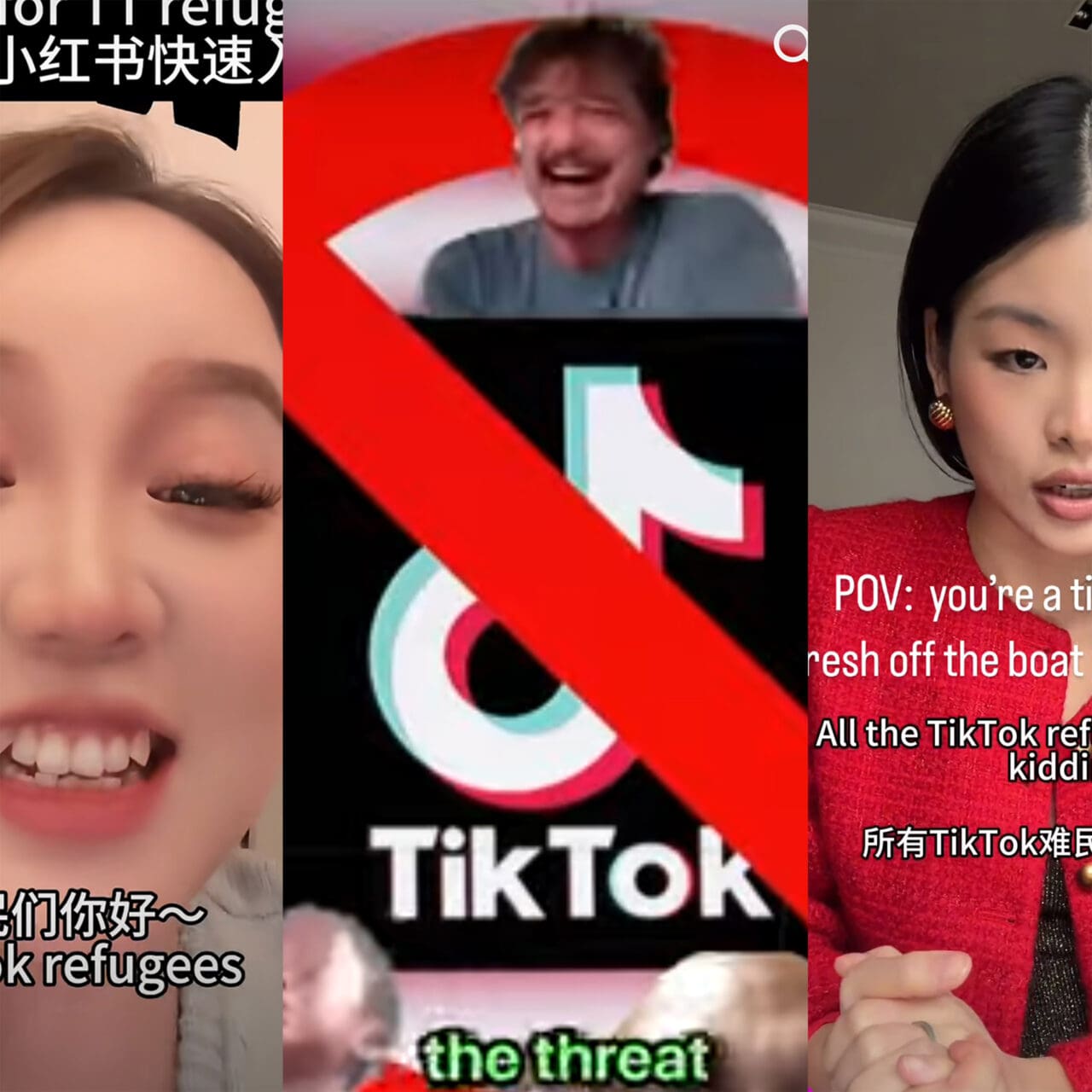 tiktok rednote xiaohongshu youtube shorts screenshots