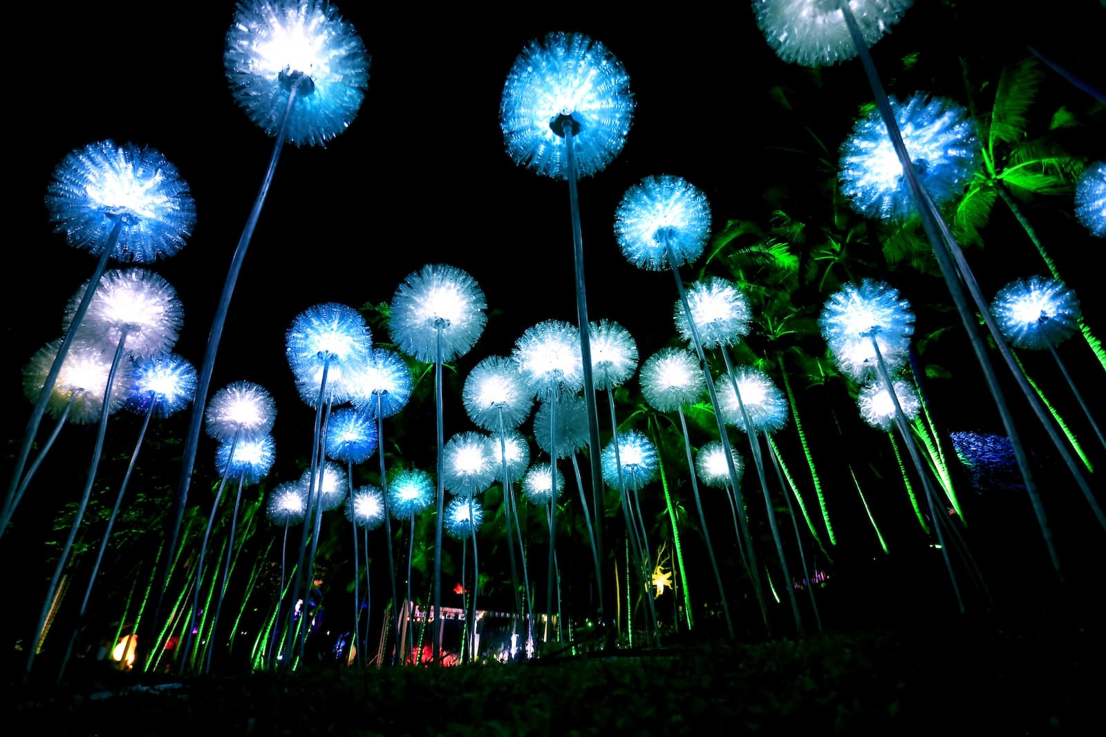 giant dandelion olivia d'aboville