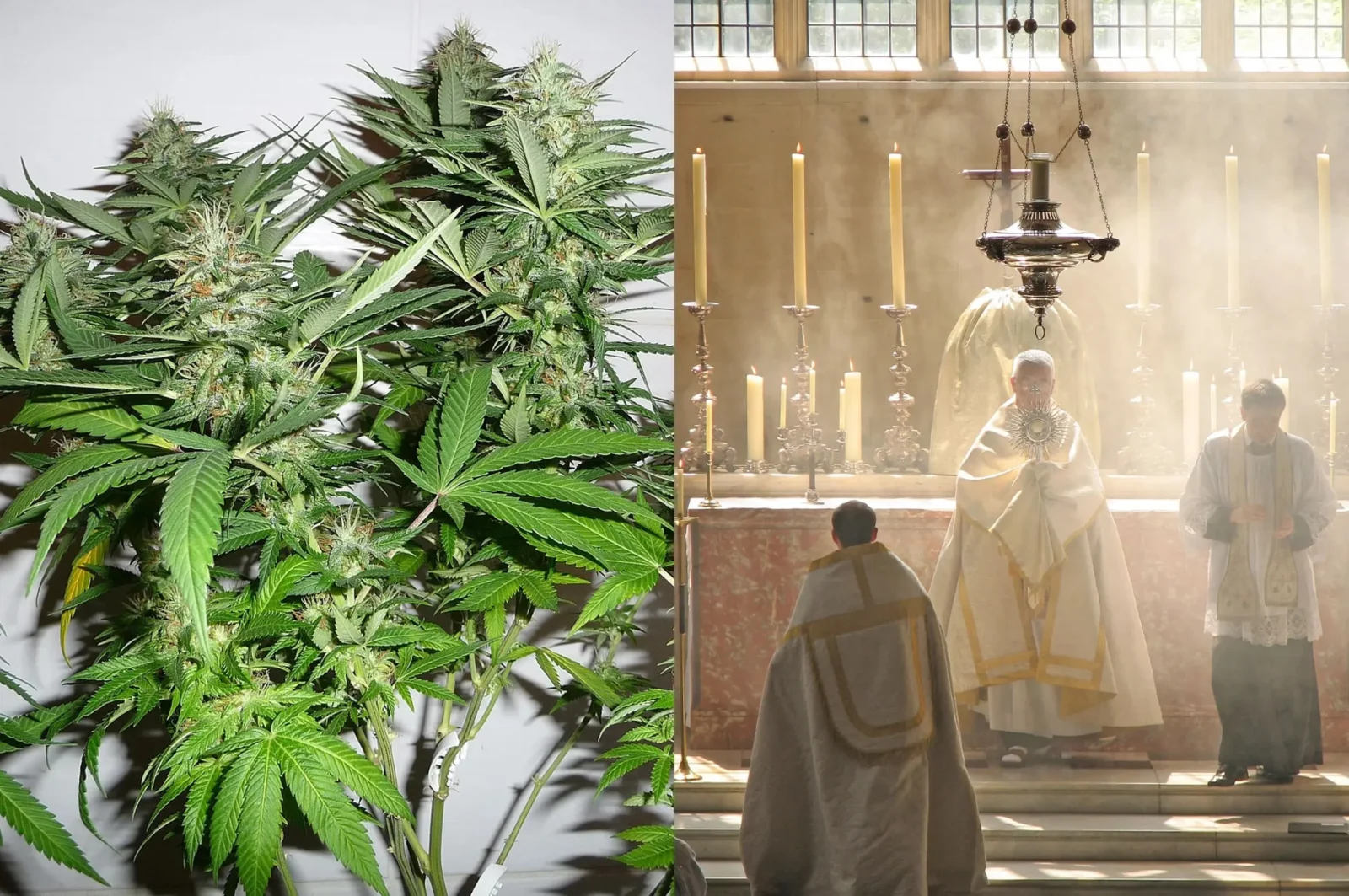 cannabis plant incense inside a church