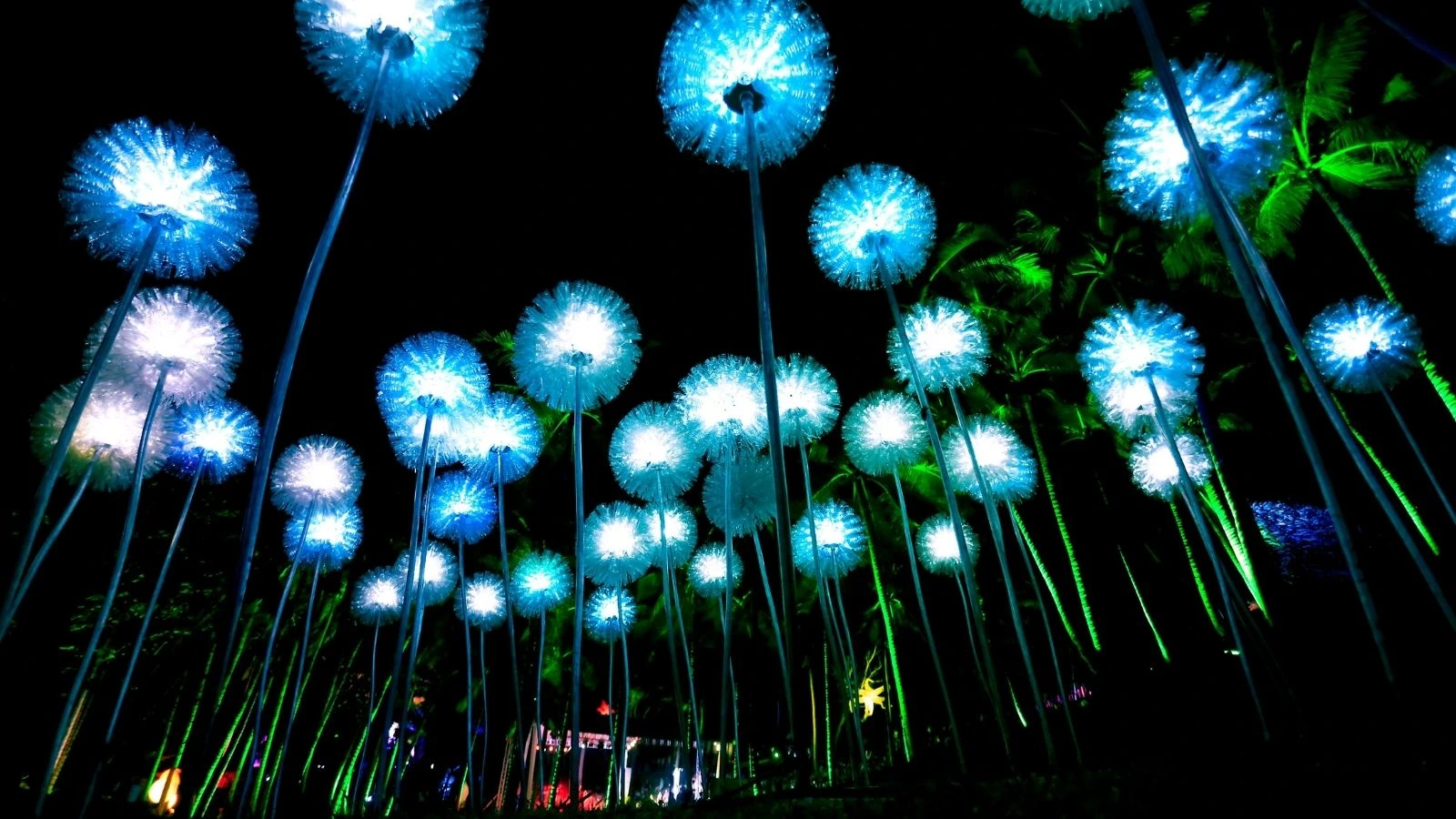 Malasimbo Art Installations