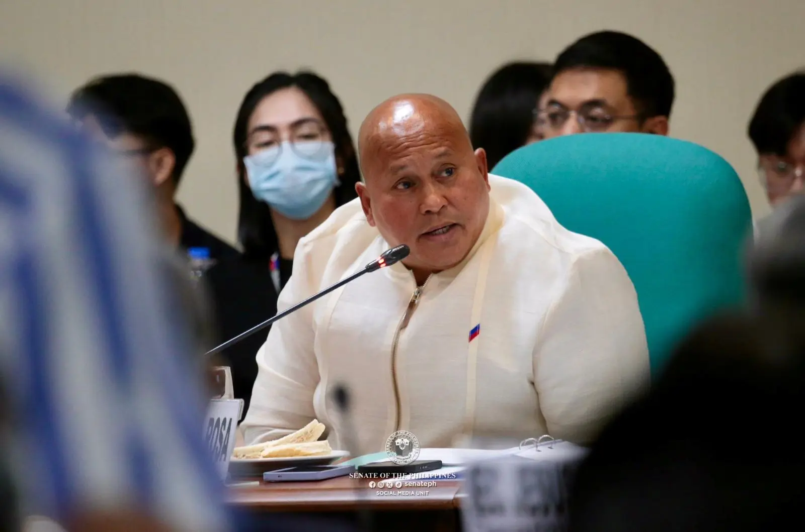 bato dela rosa senate inquiry duterte arrest