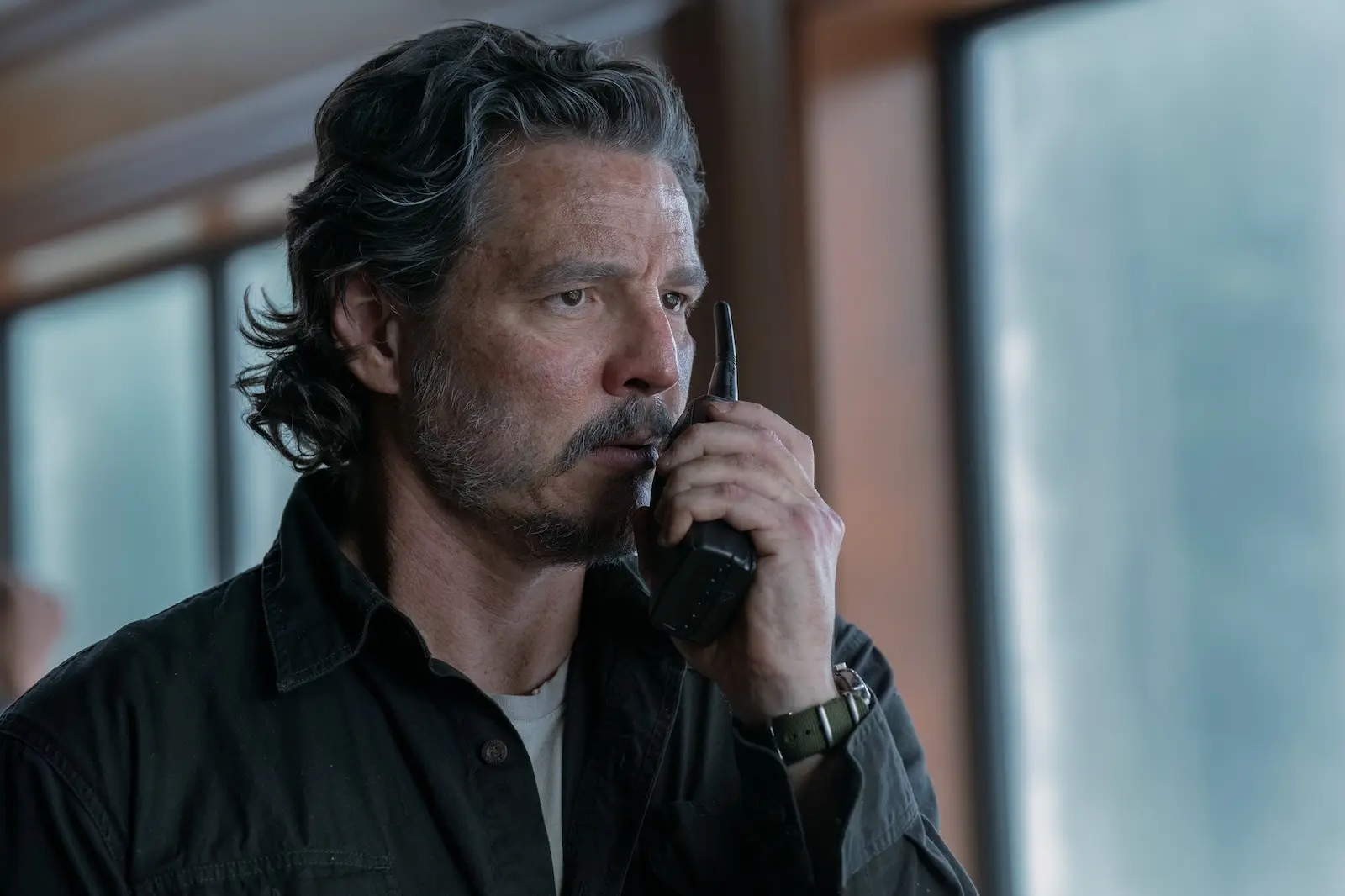 the last of us season 2 episode 2