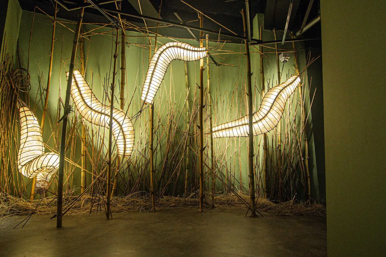 PERRY MARTIN MAMARIL b1960 _Creatures 1-4_ 2025