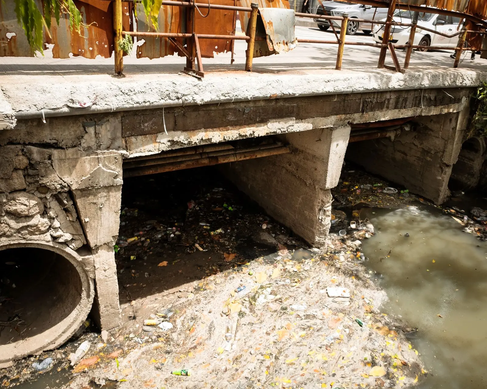 makati med mole people creek botanical garden