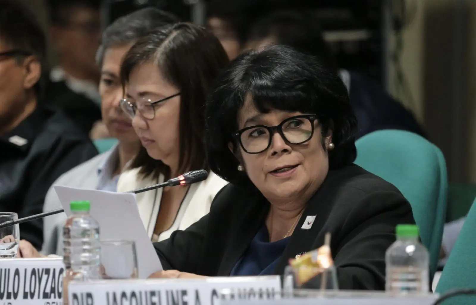 toni yulo loyzaga denr manila bay reclamation study senate