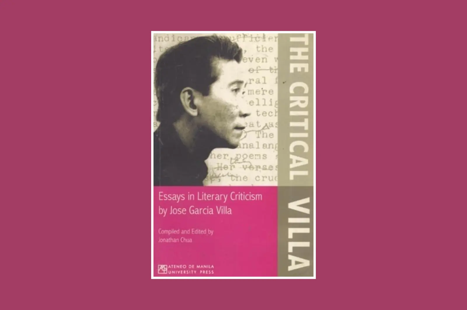 Critical Villa: Essays in Literary Criticism