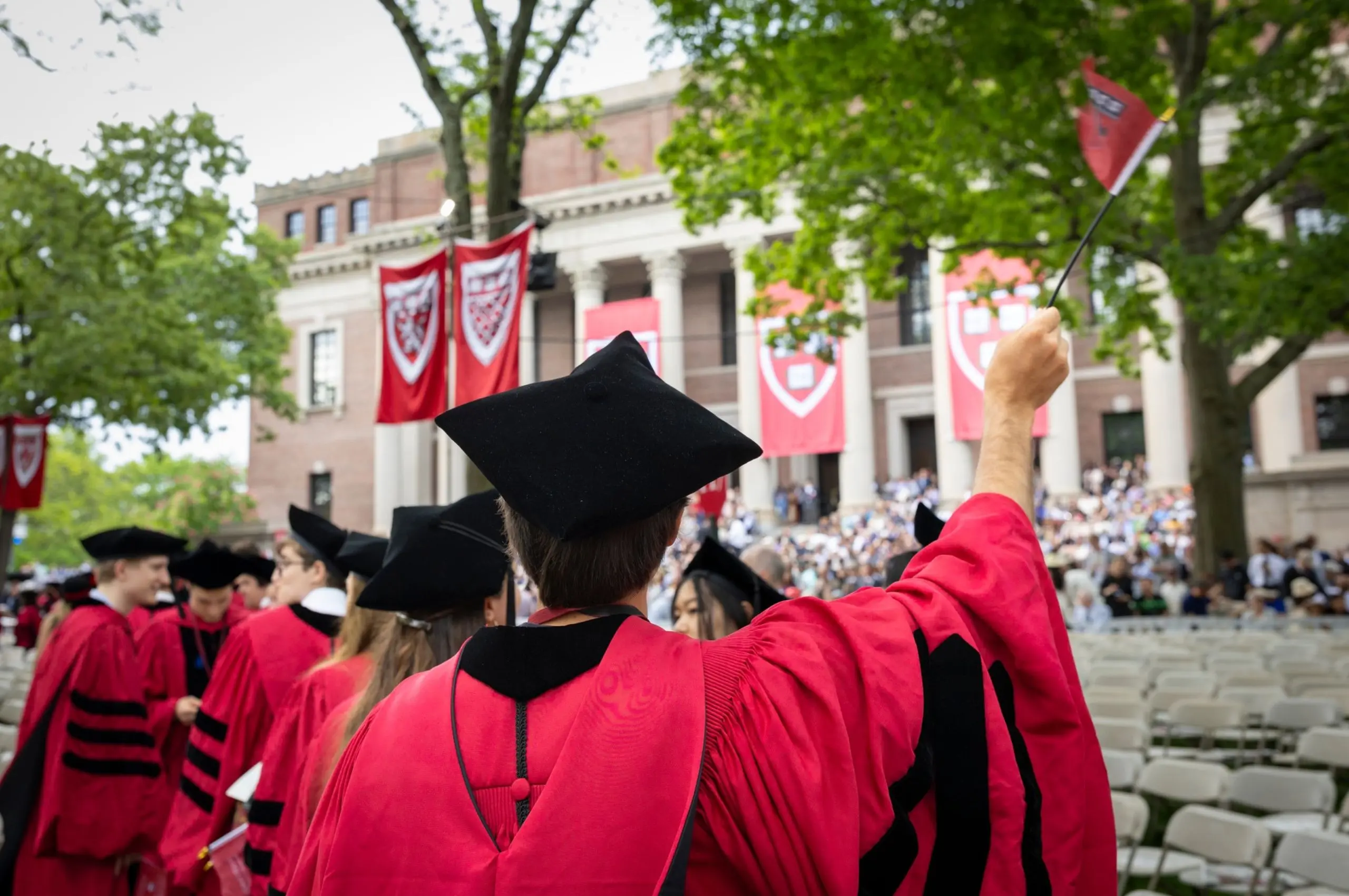 harvard graduation
