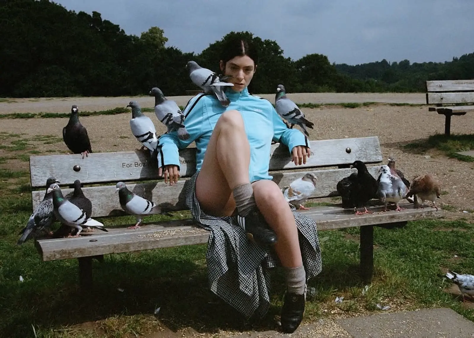 lorde hammer gender virgin