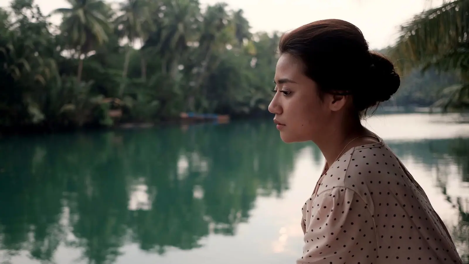 song of the fireflies