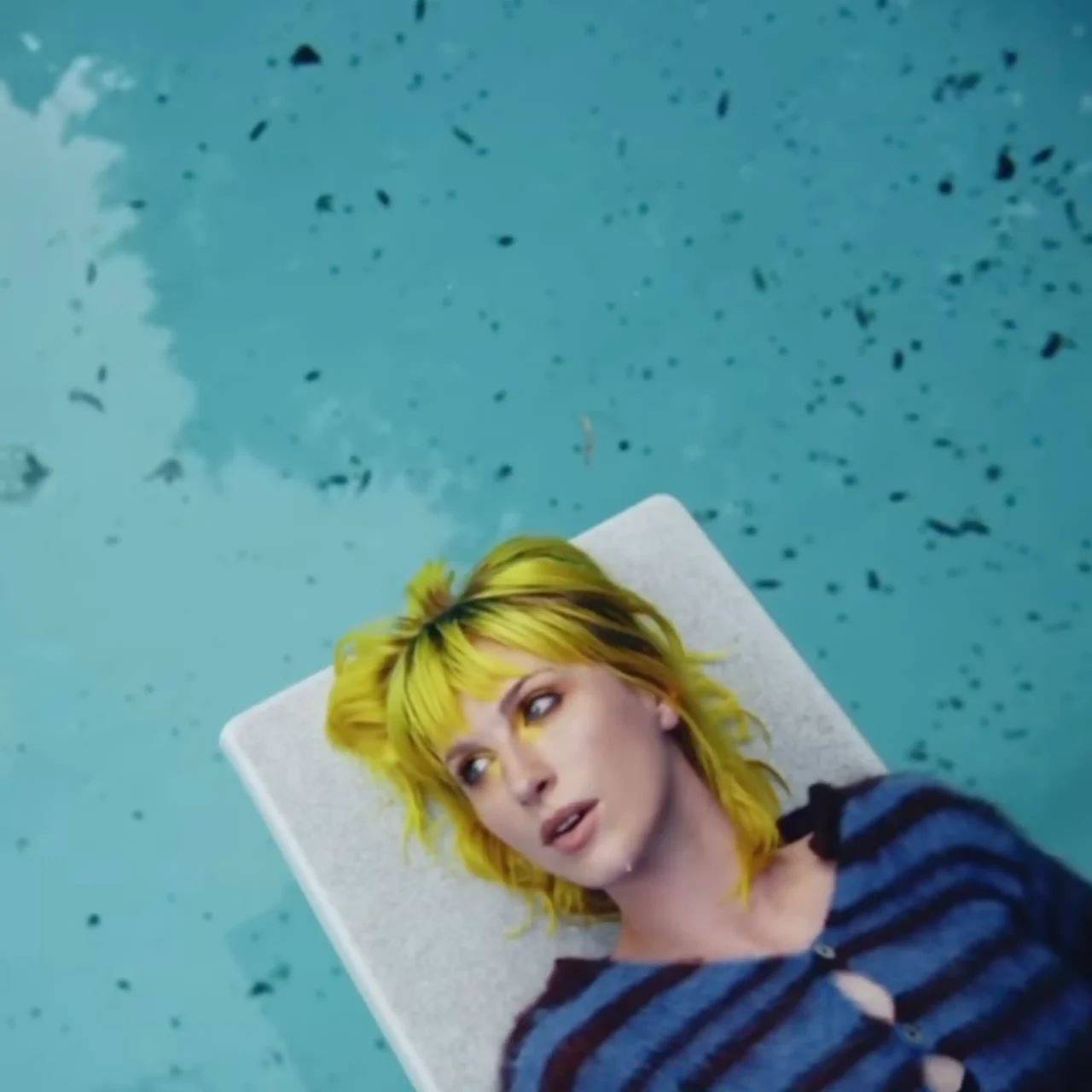 Hayley Williams' 