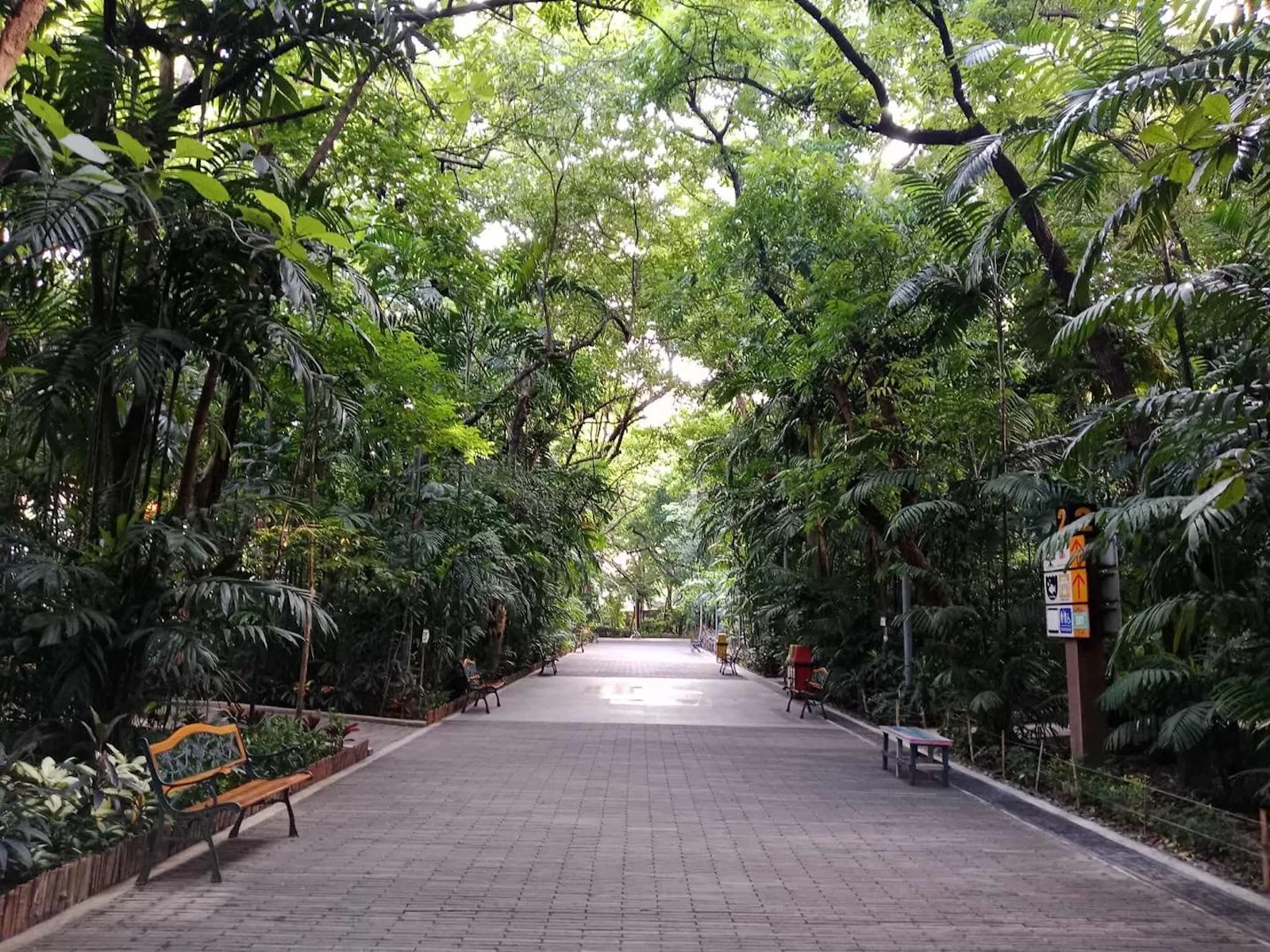 arroceros forest park manila last lung