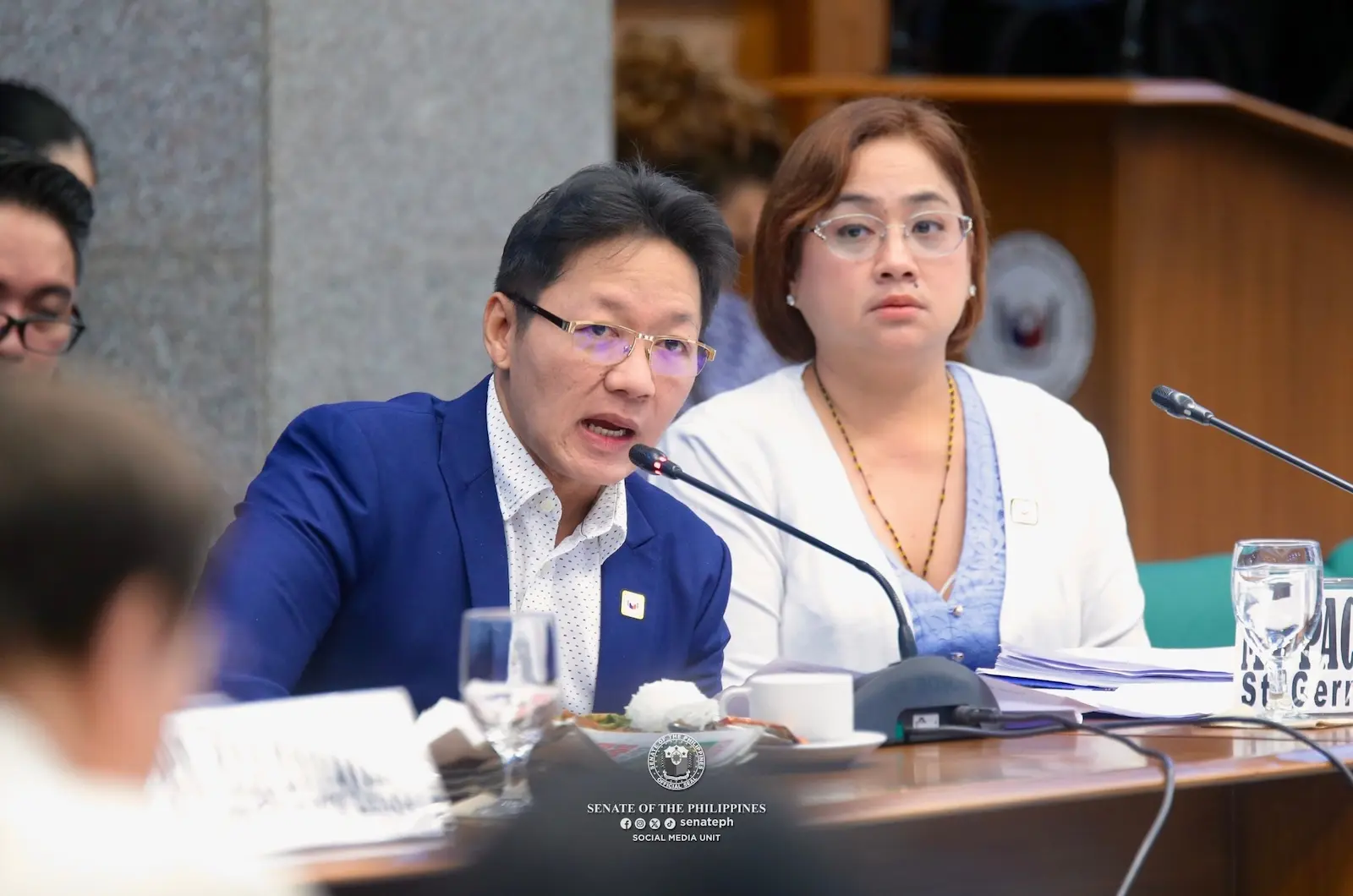 curlee sarah discaya senate hearing