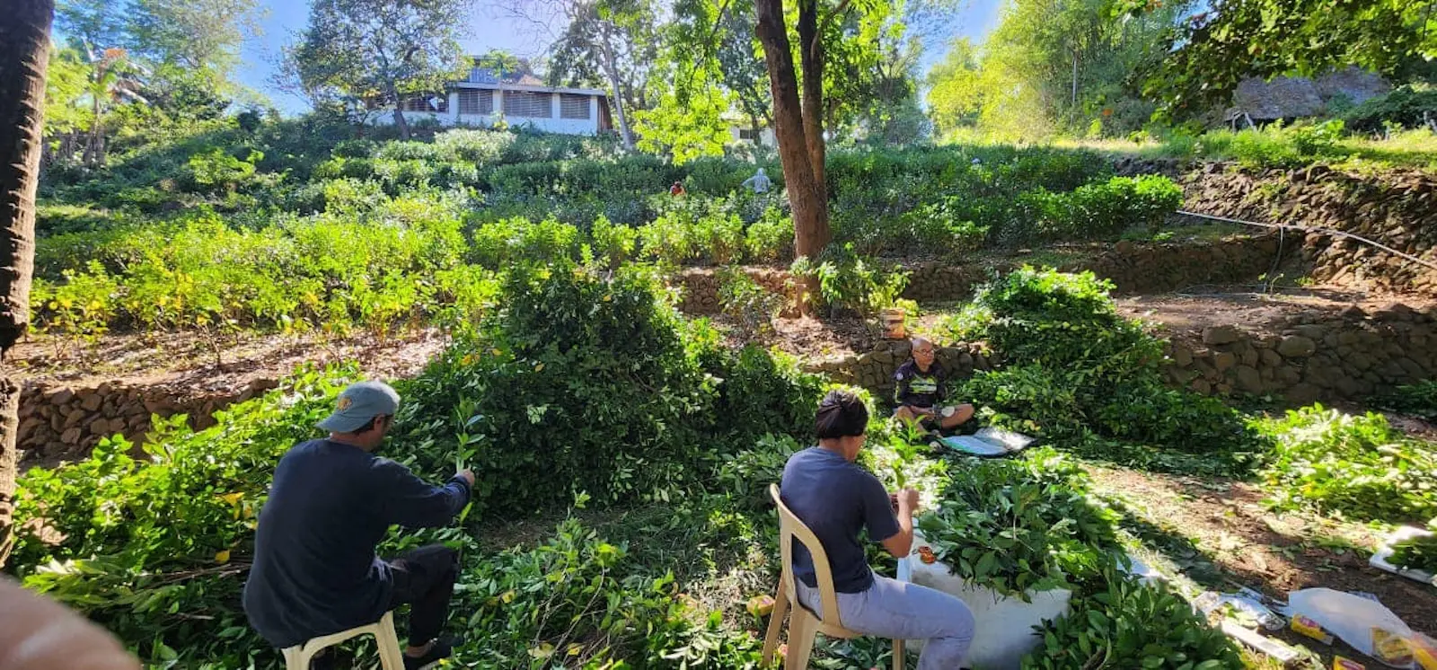 gawad kalinga enchanted farm