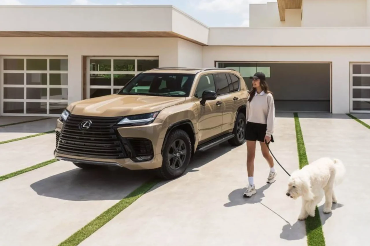 lexus pet pop-up