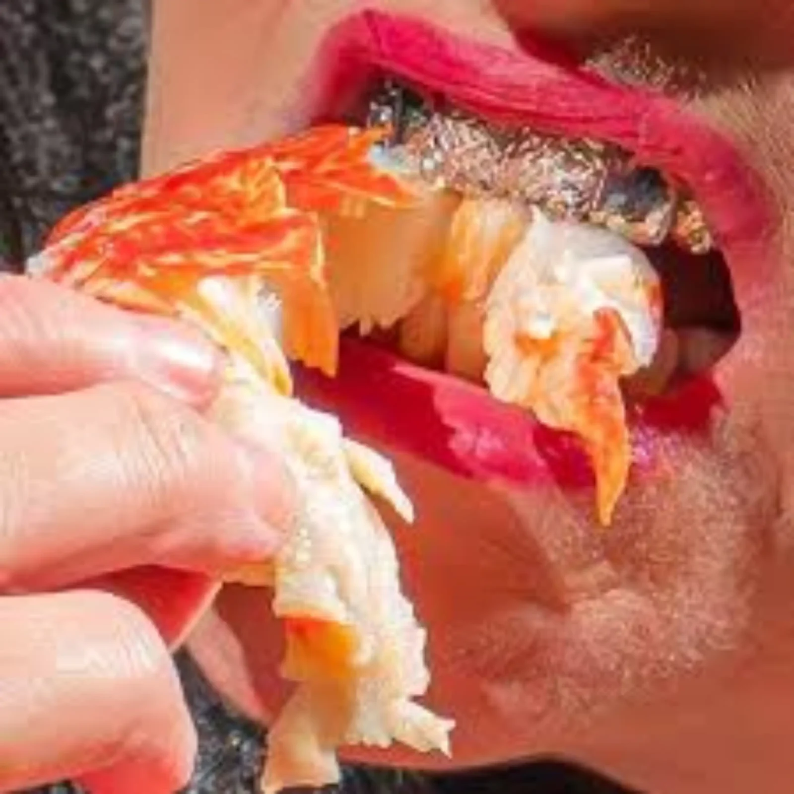 Peaches, ‘Not In Your Mouth None of Your Business’