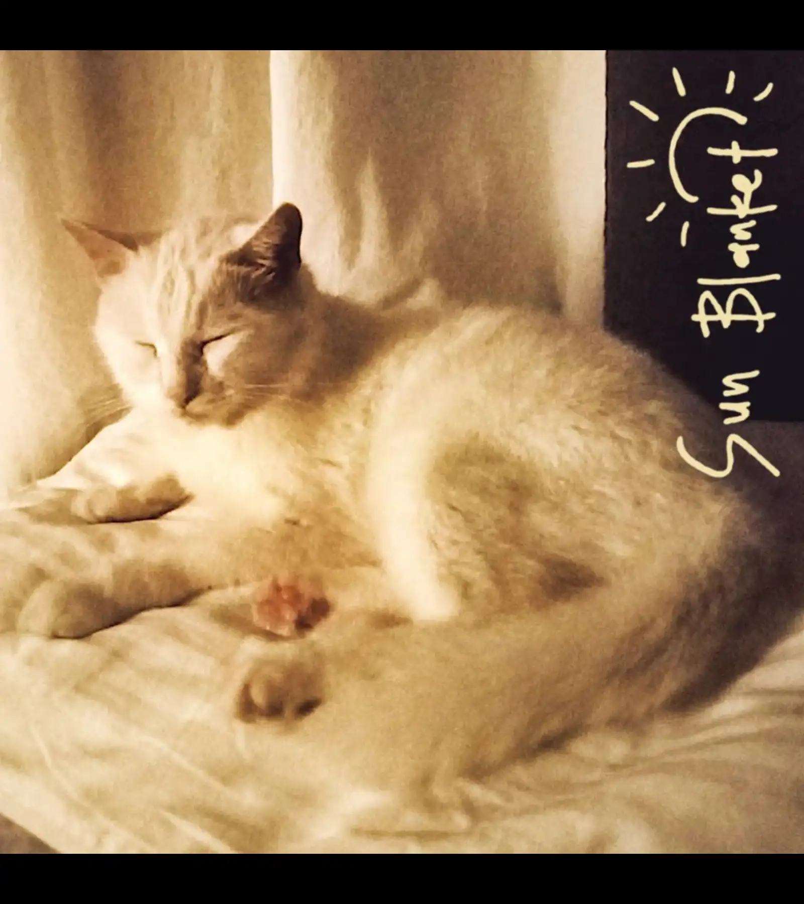 Megumi Acorda Sun Blanket