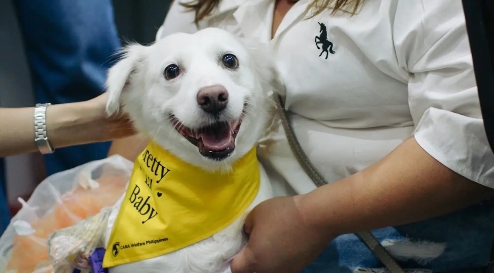 CARA Welfare Philippines