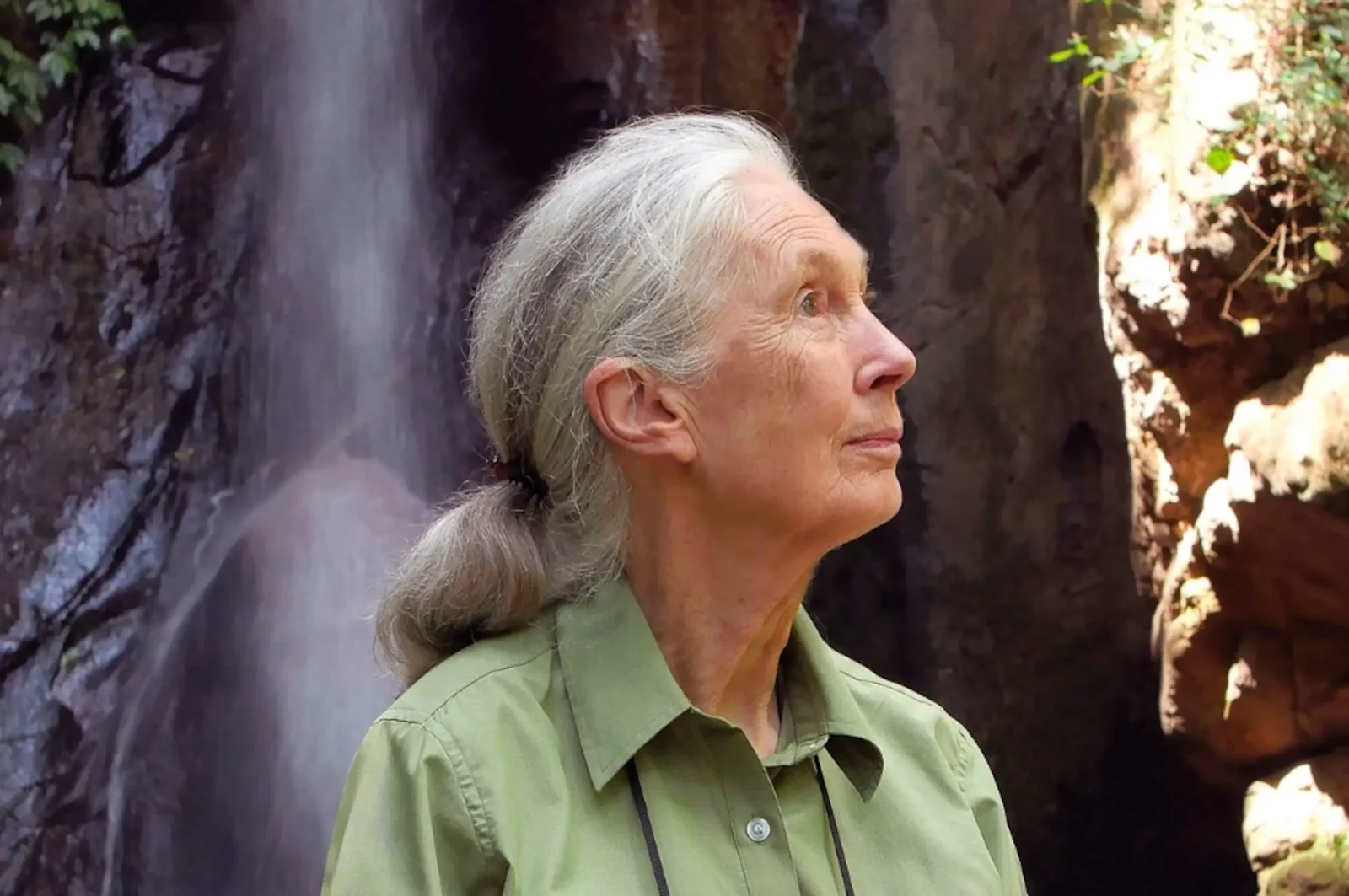 Jane Goodall