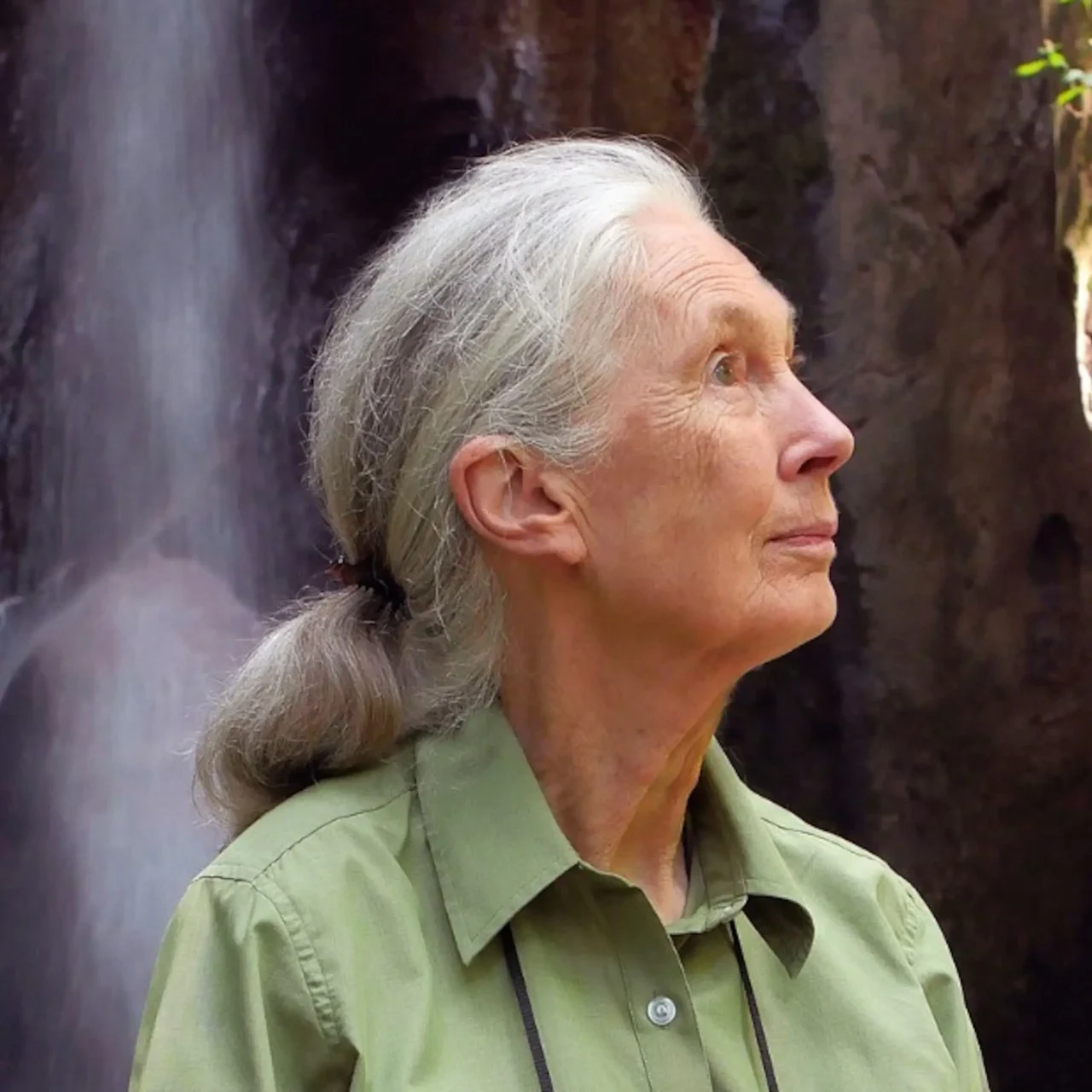 Jane Goodall