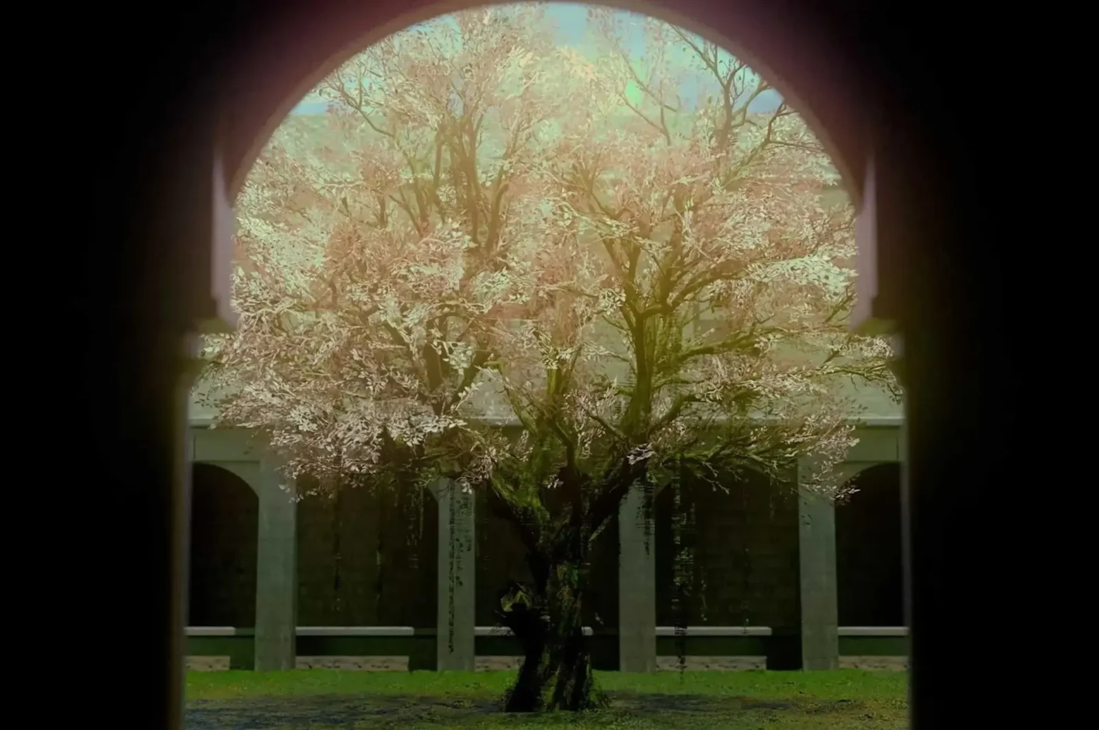 A still from Cola Salva Cruz’s Sans Nomenclature