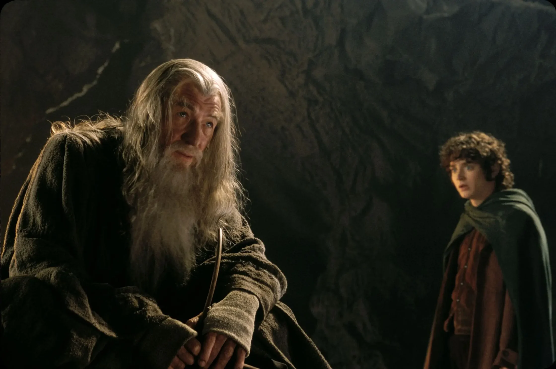 sir ian mckellen, elijah wood