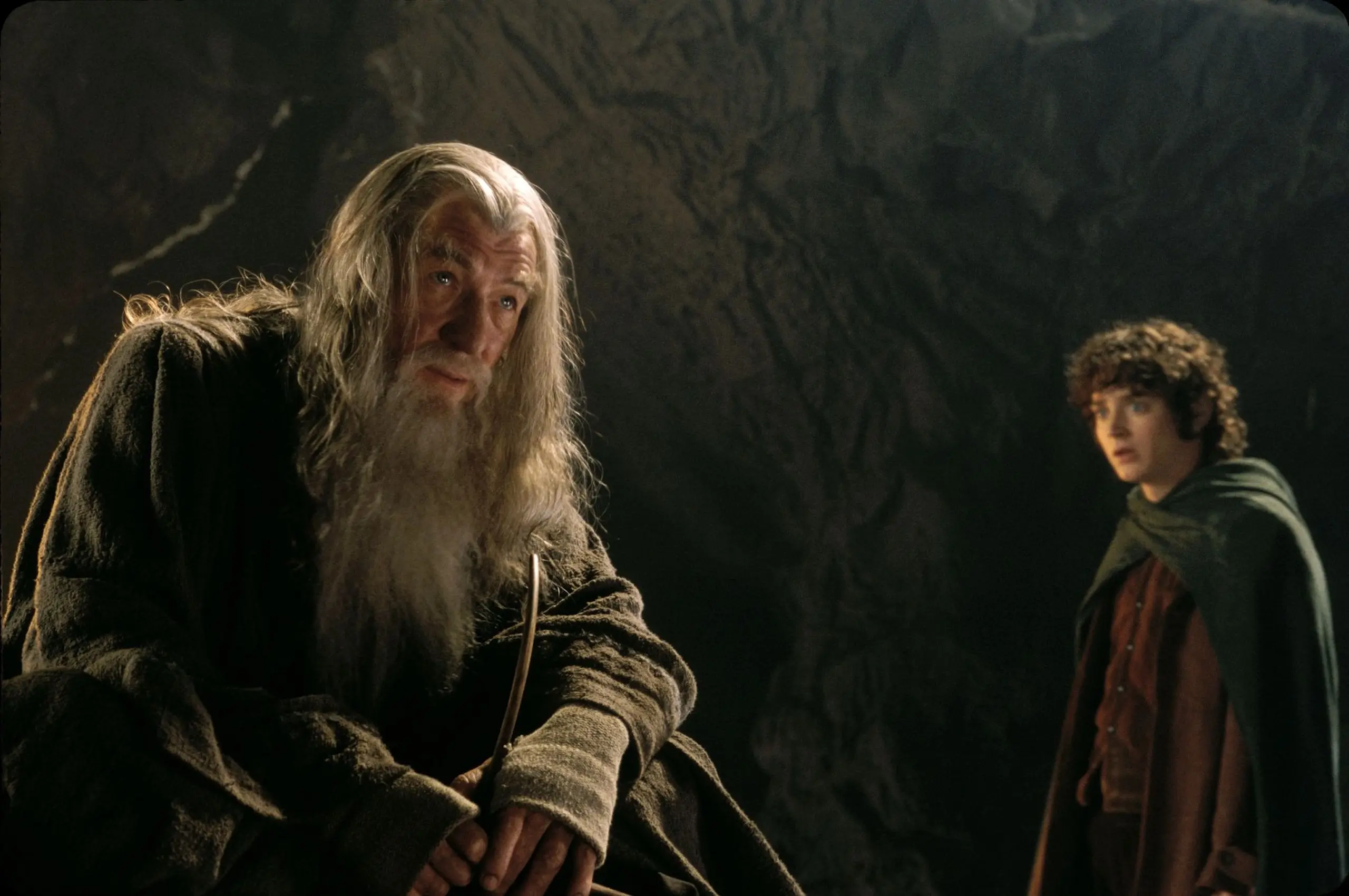 sir ian mckellen, elijah wood