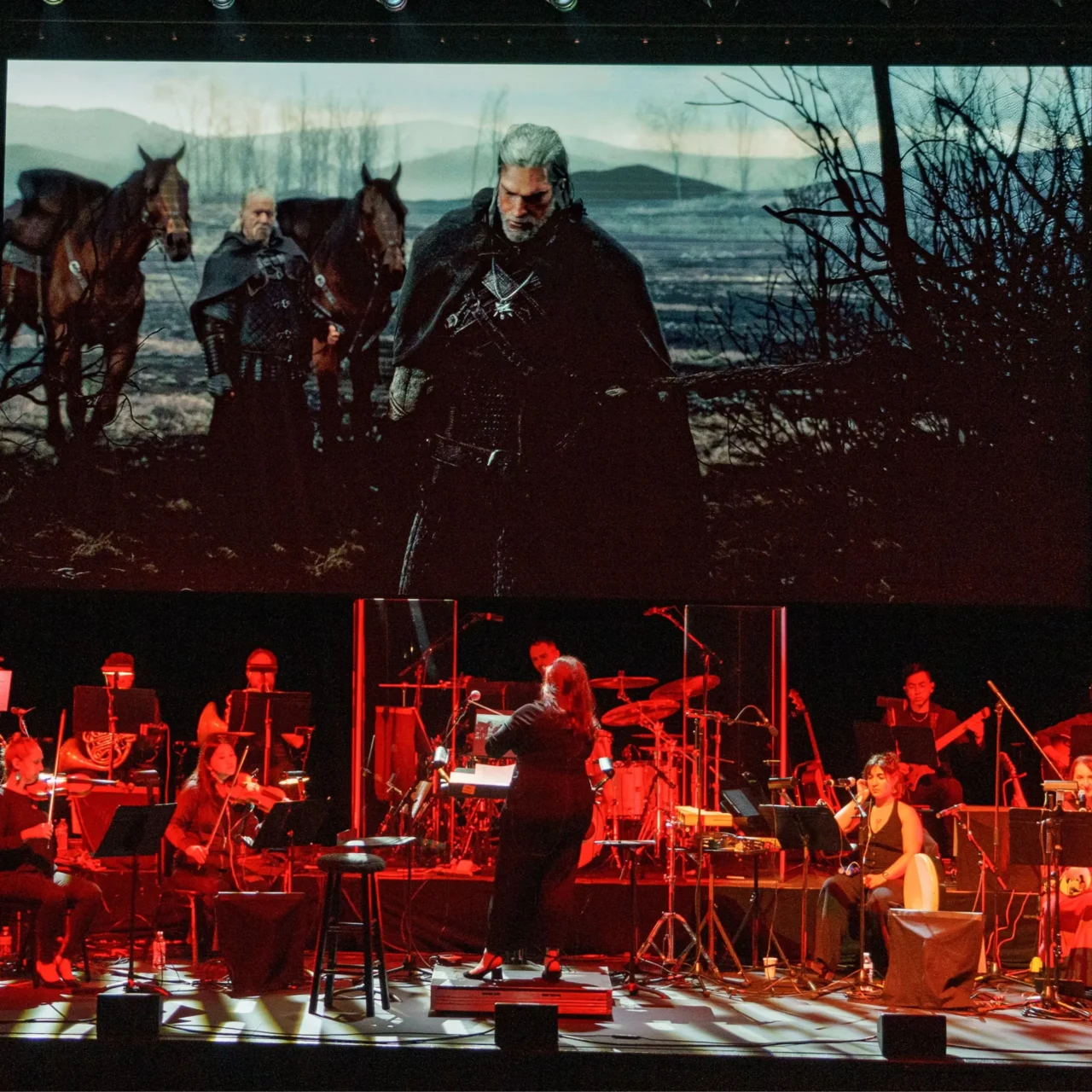 the witcher in concert