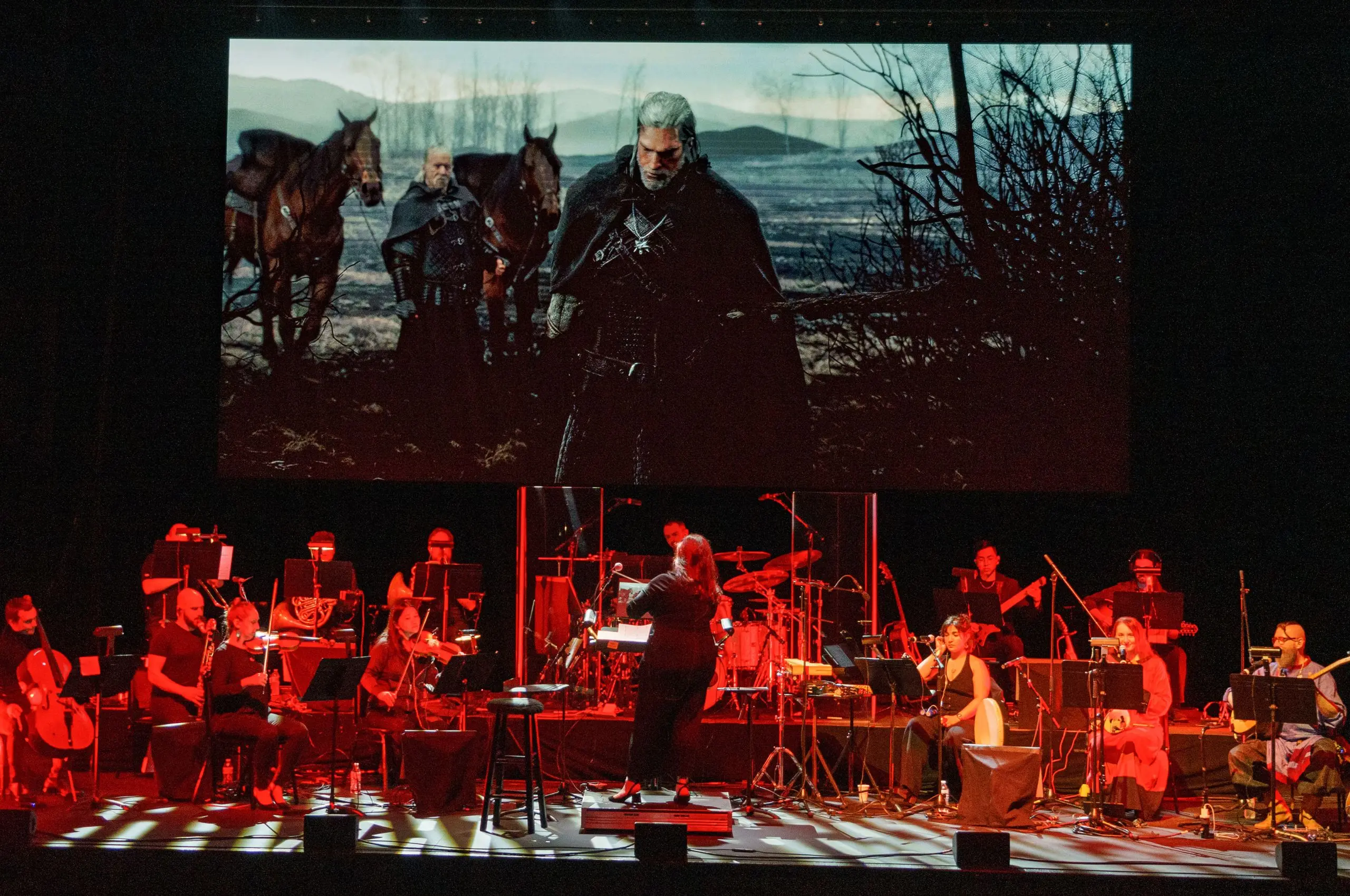 the witcher in concert