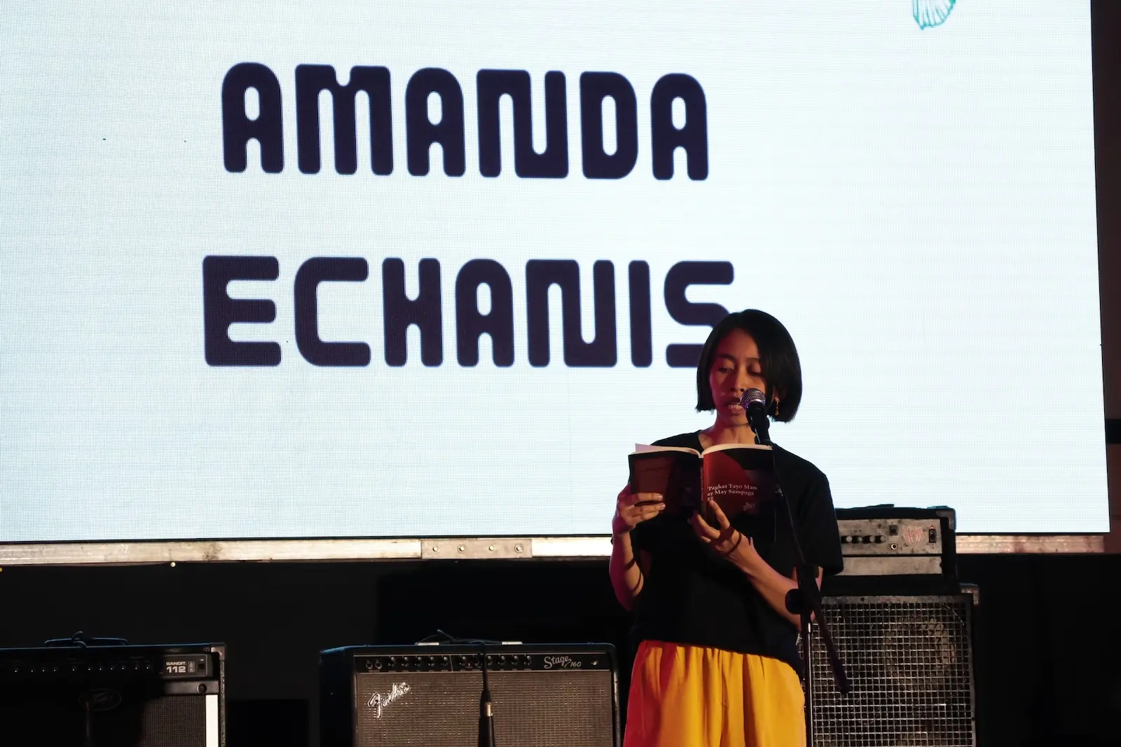 amanda echanis viva palestina