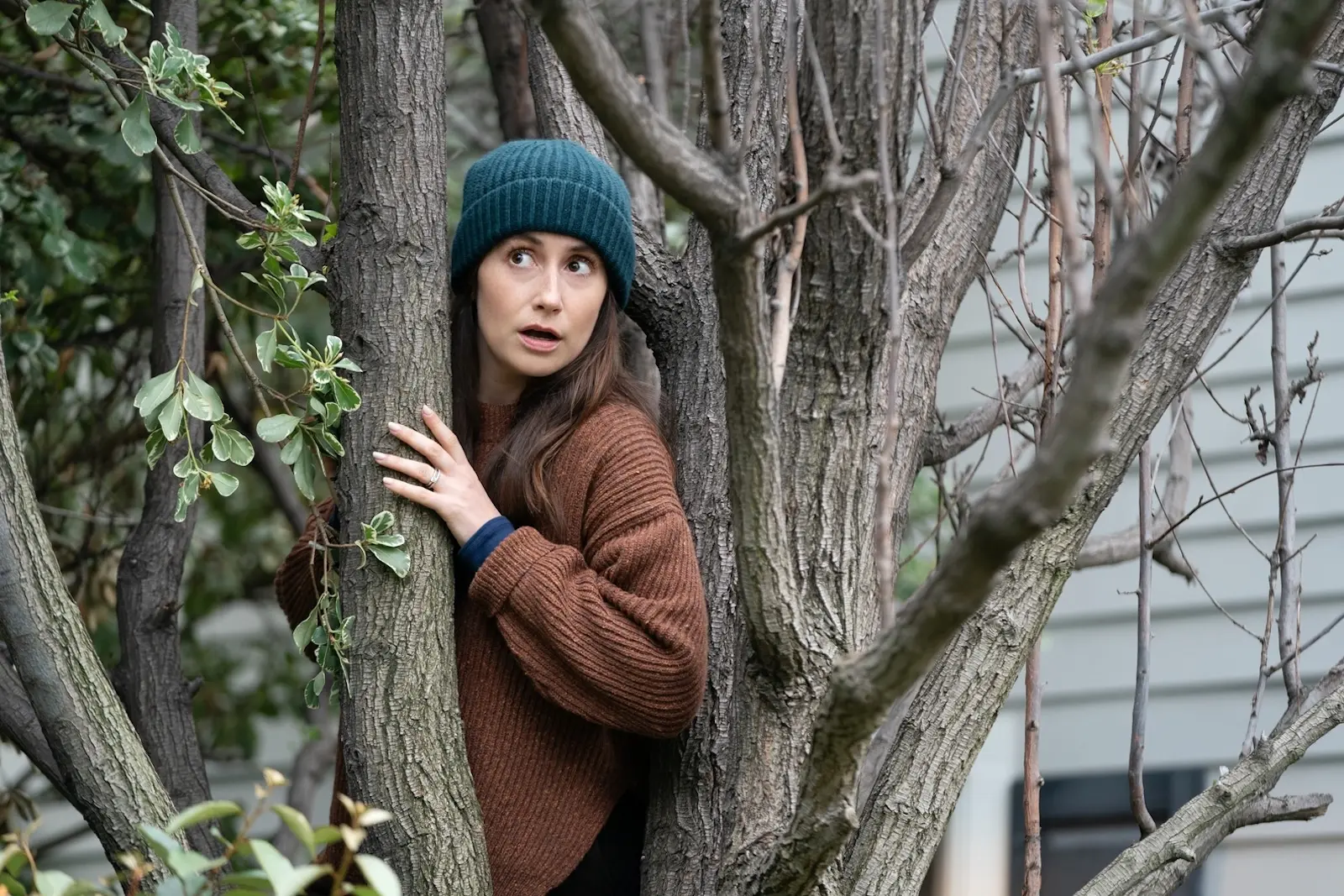 Charly Clive, Rooster, HBO Max