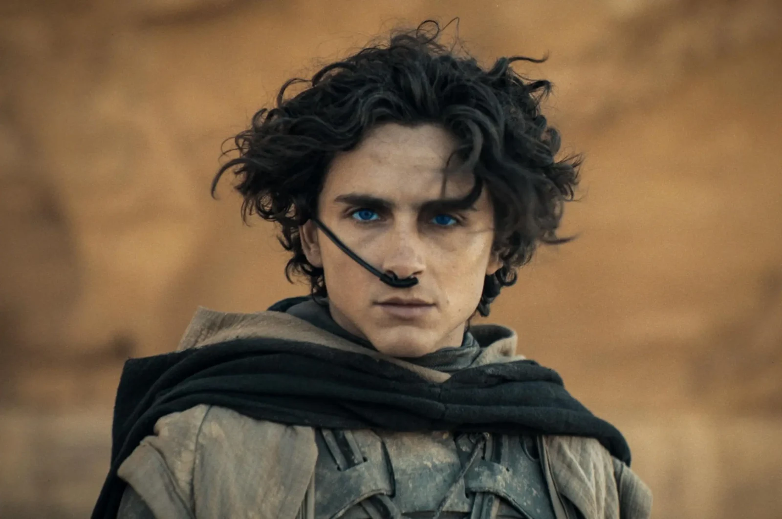 timothee chalamet dune