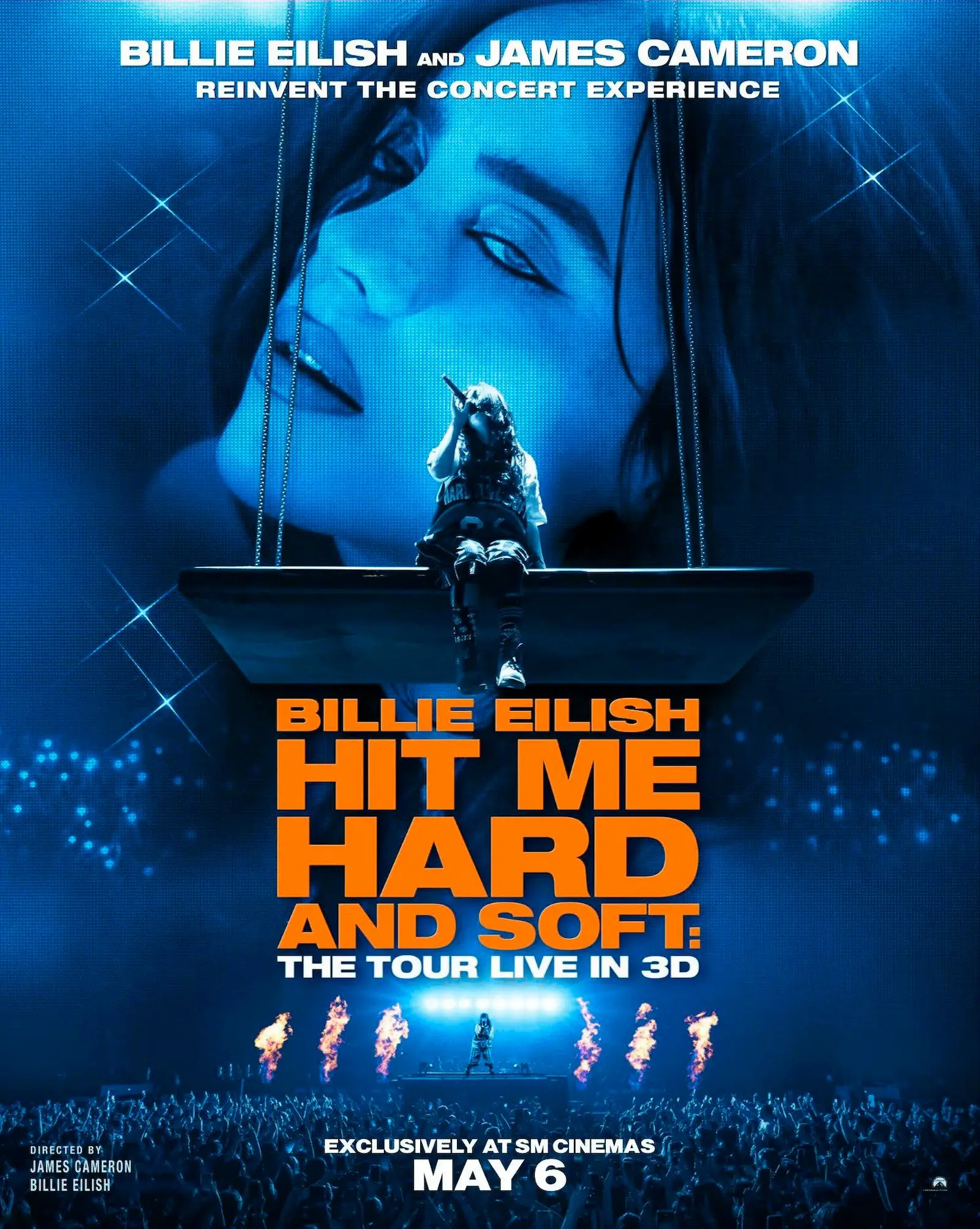 hit me hard and soft tour live in 3d poster