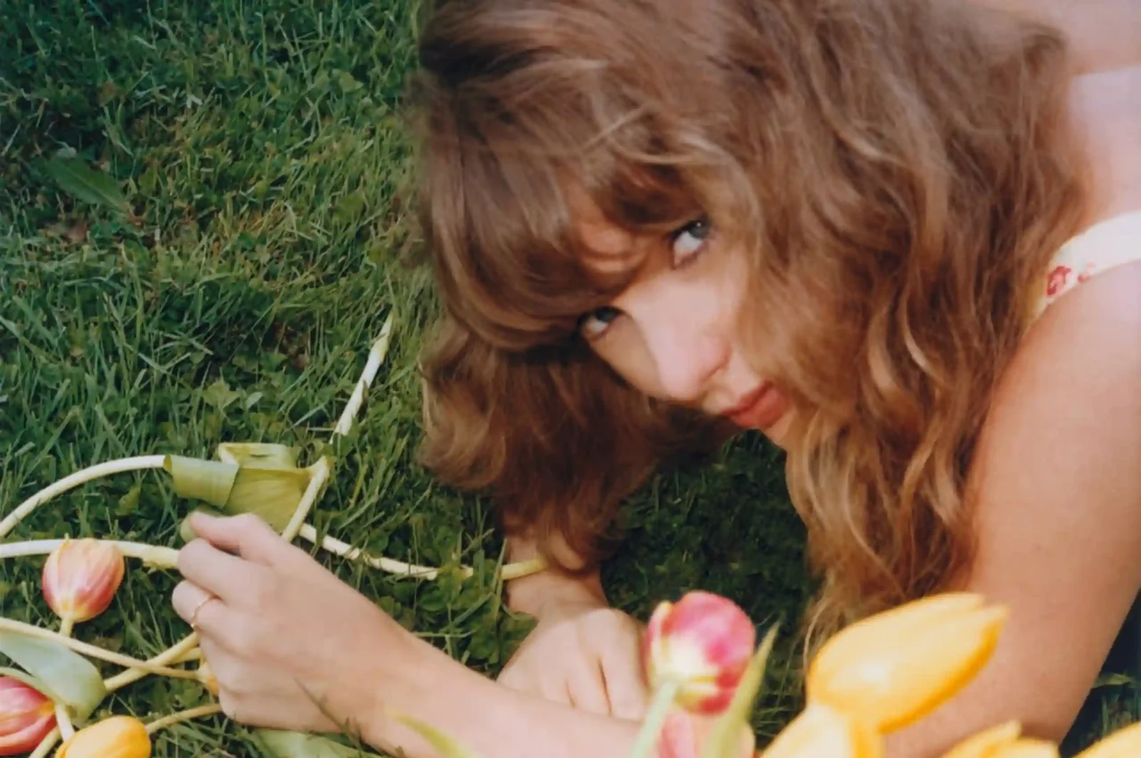 Taylor Swift Toy Story
