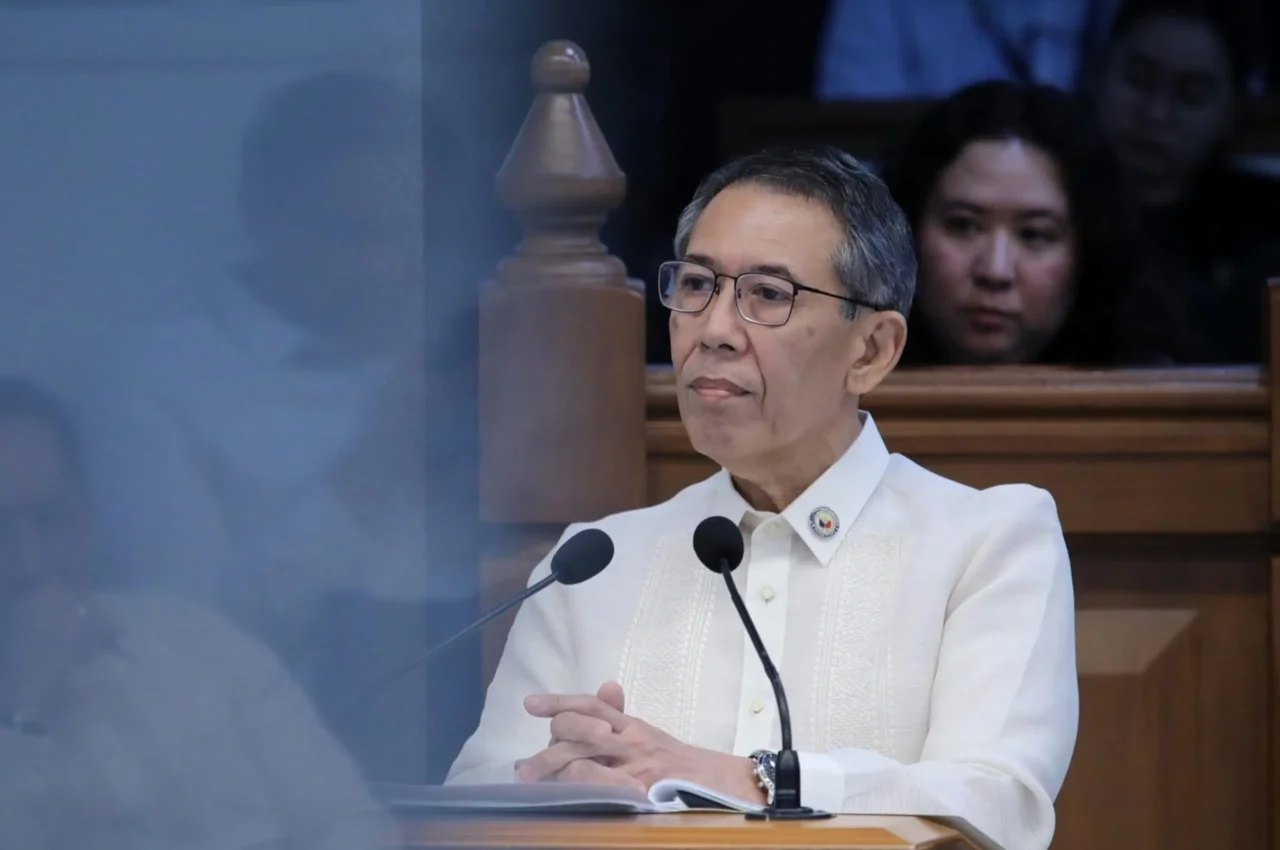 akbayan partylist rep chel diokno