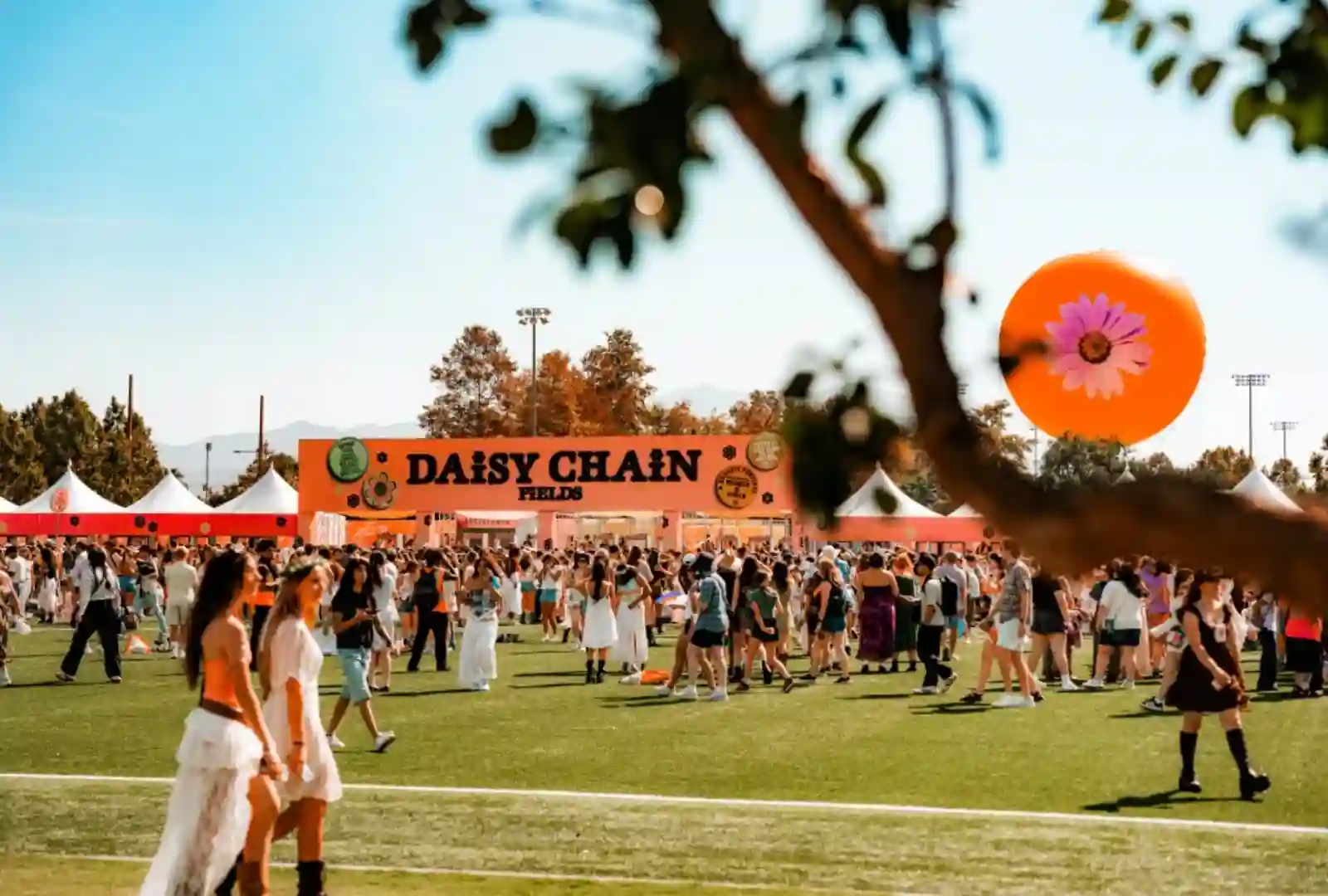 Daisy Chain Fields Festival