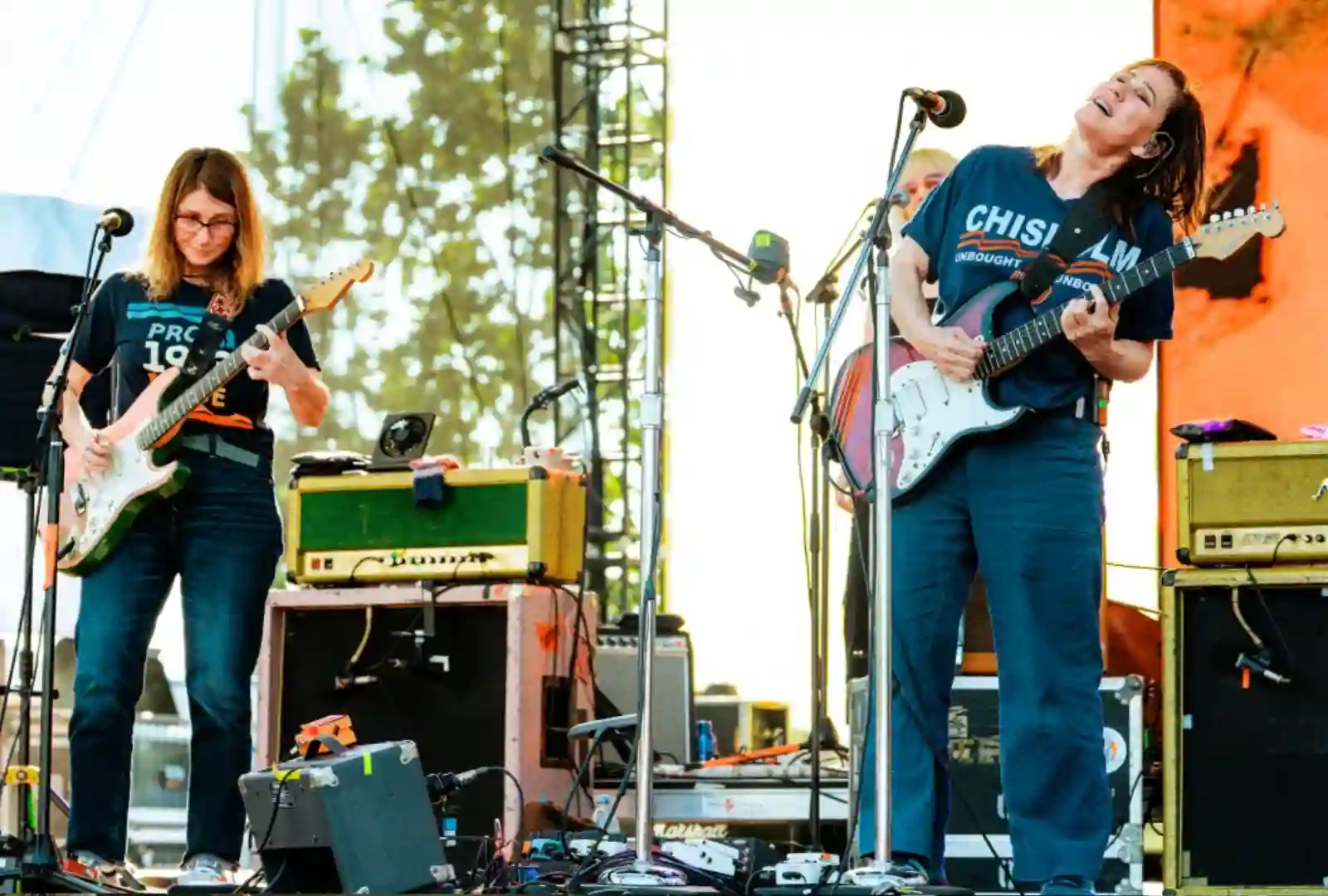 The Breeders DCF