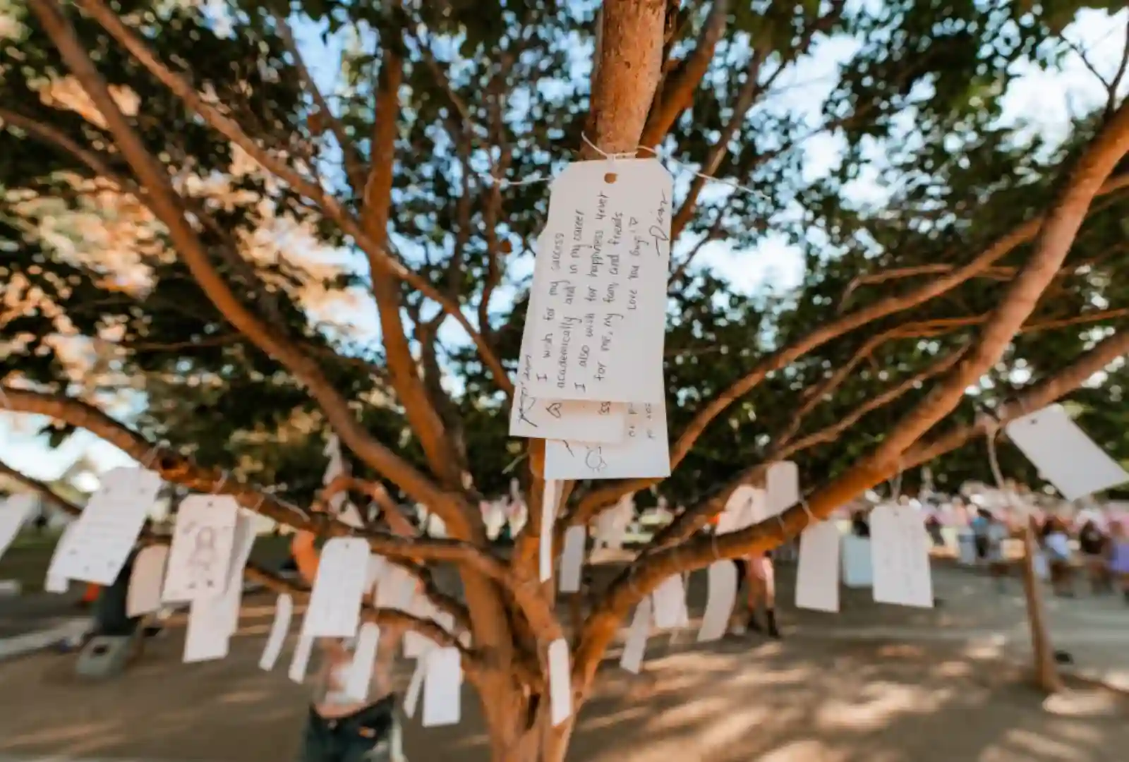 Wish Tree