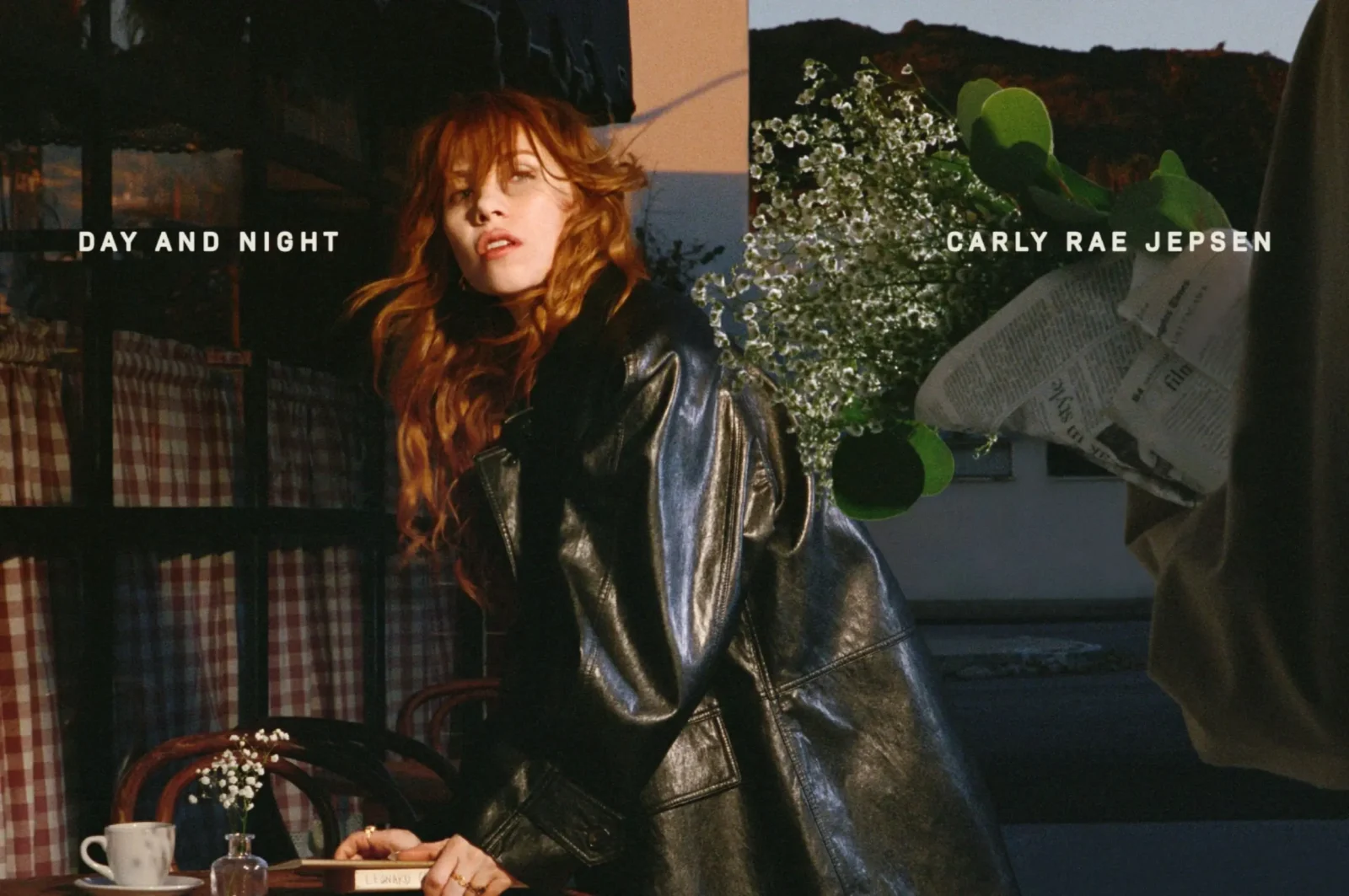 carly rae jepsen day and night album cover