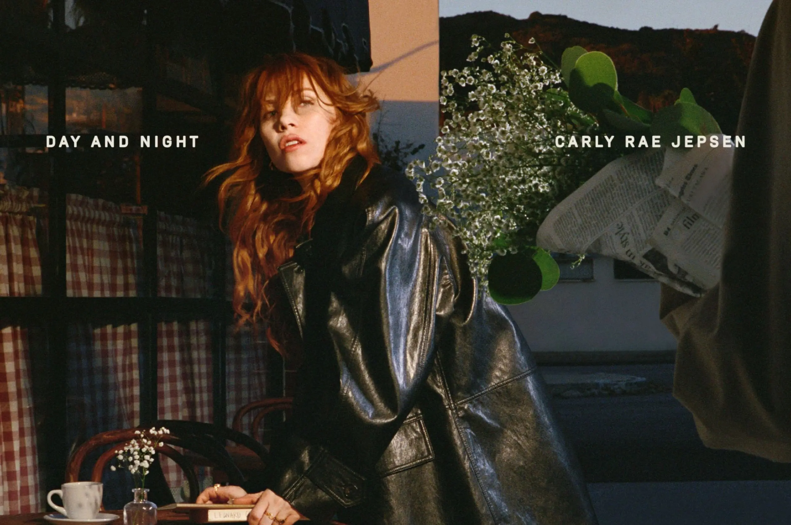 carly rae jepsen day and night album cover