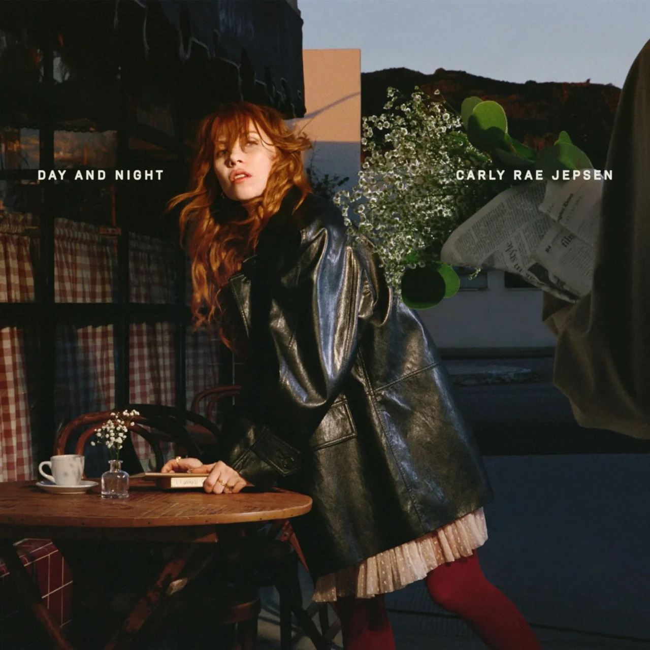 carly rae jepsen day and night album cover