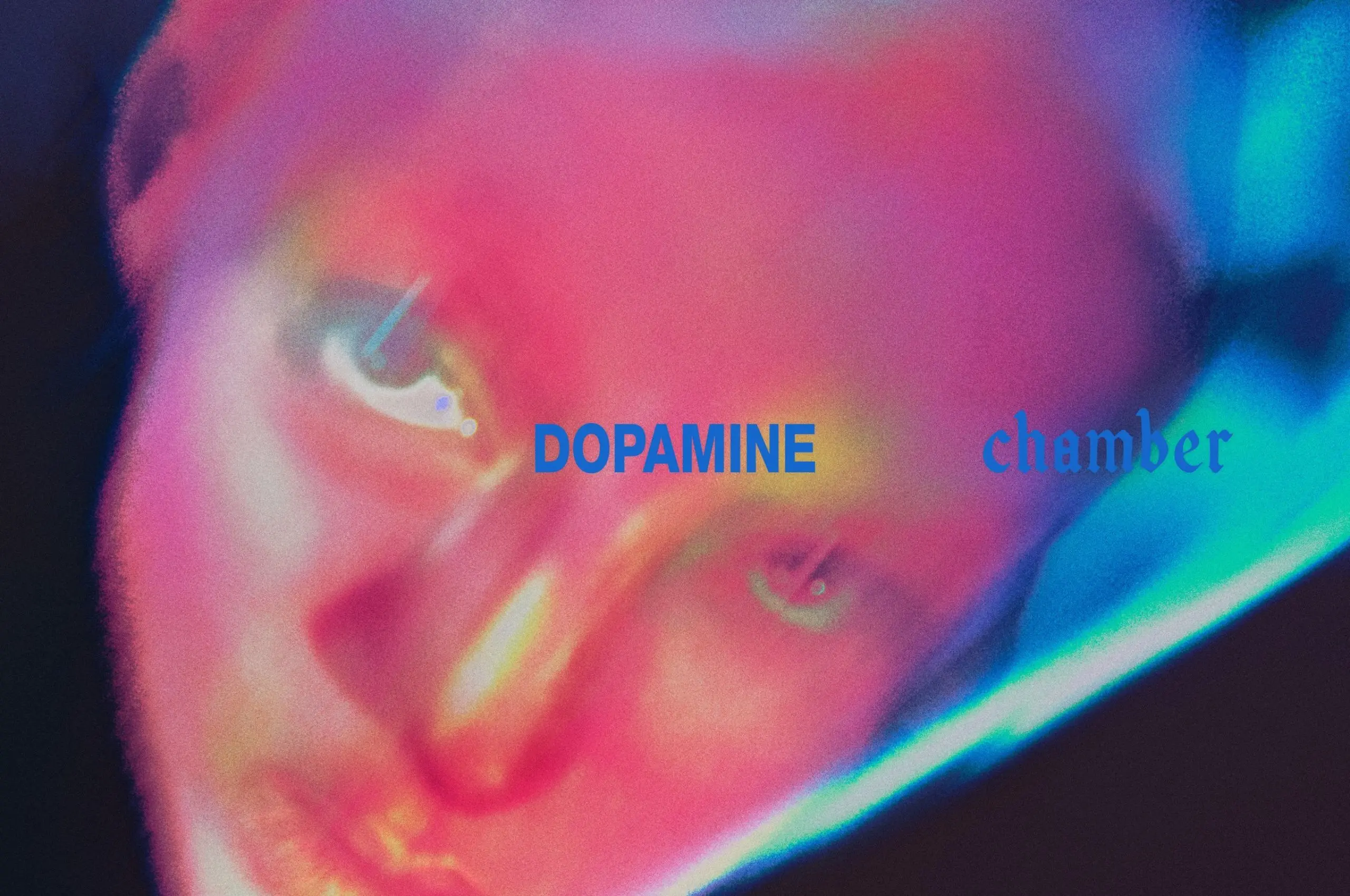 dopamine chamber fontaines d.c.